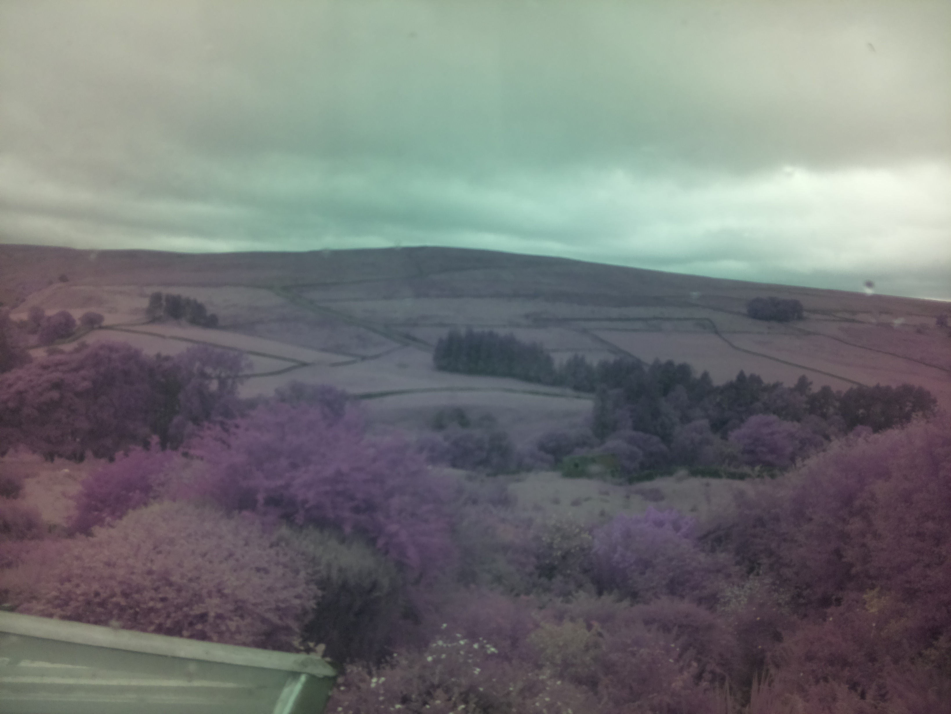 raspi webcam photo