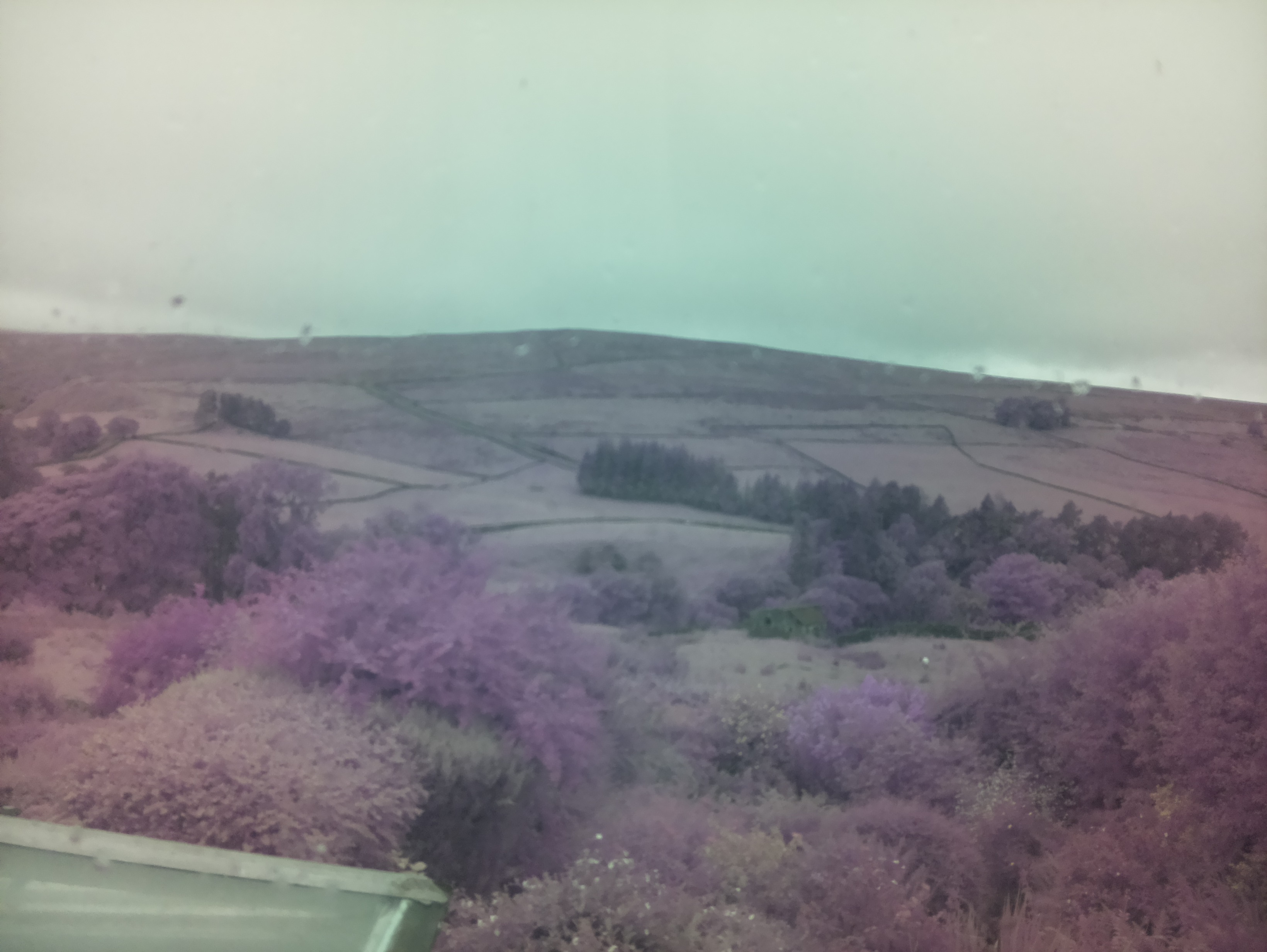 raspi webcam photo