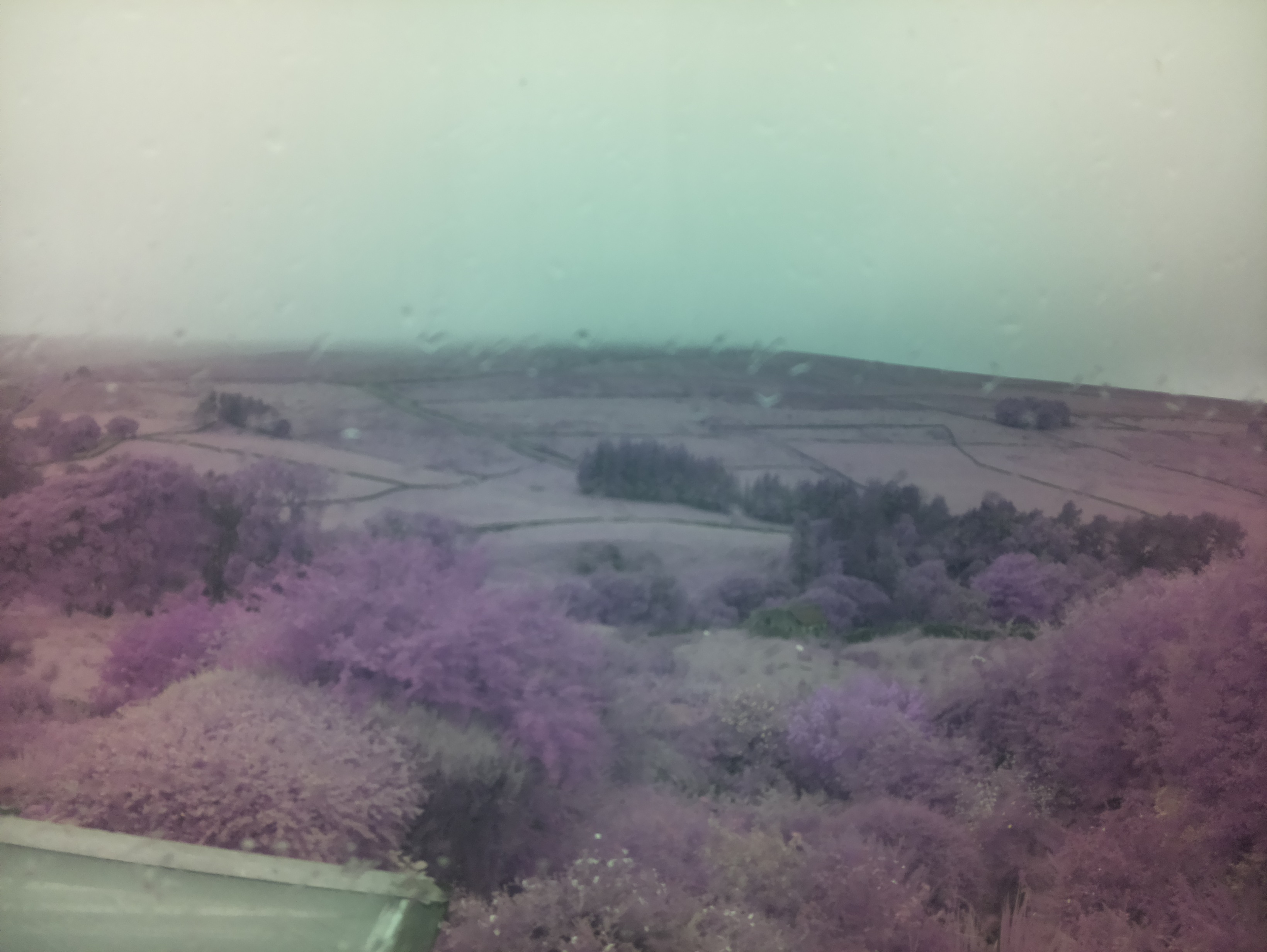 raspi webcam photo