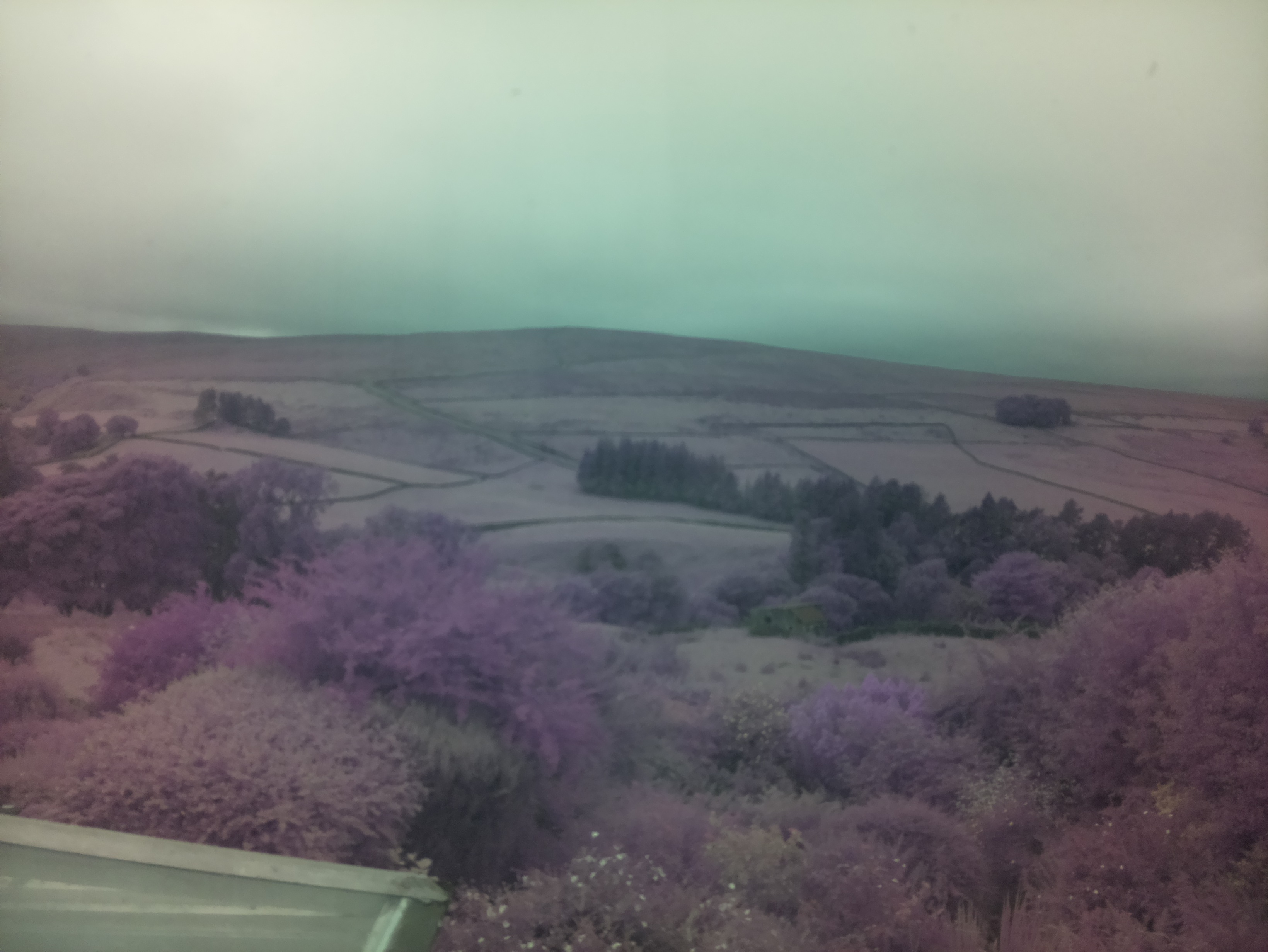 raspi webcam photo