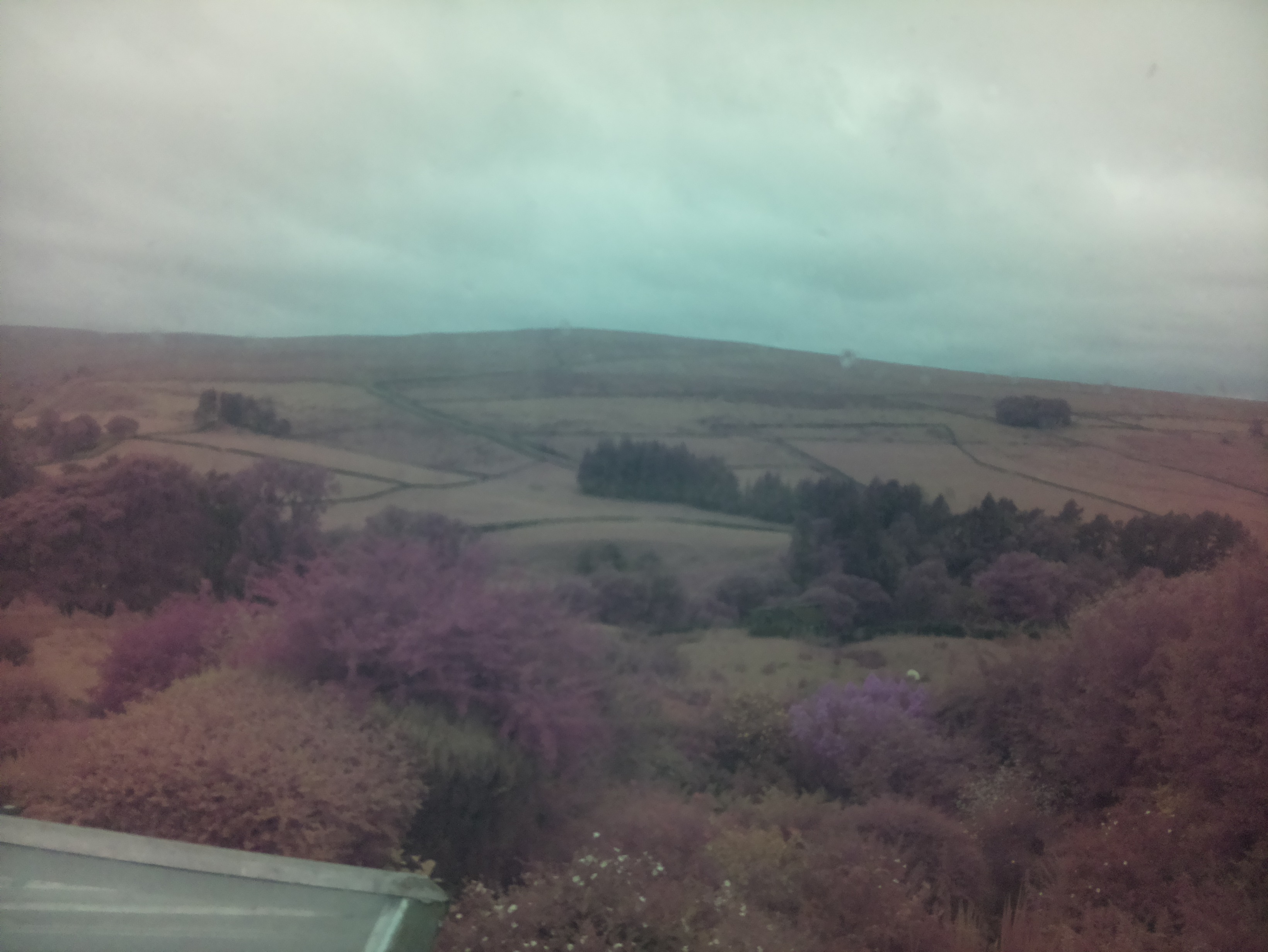 raspi webcam photo