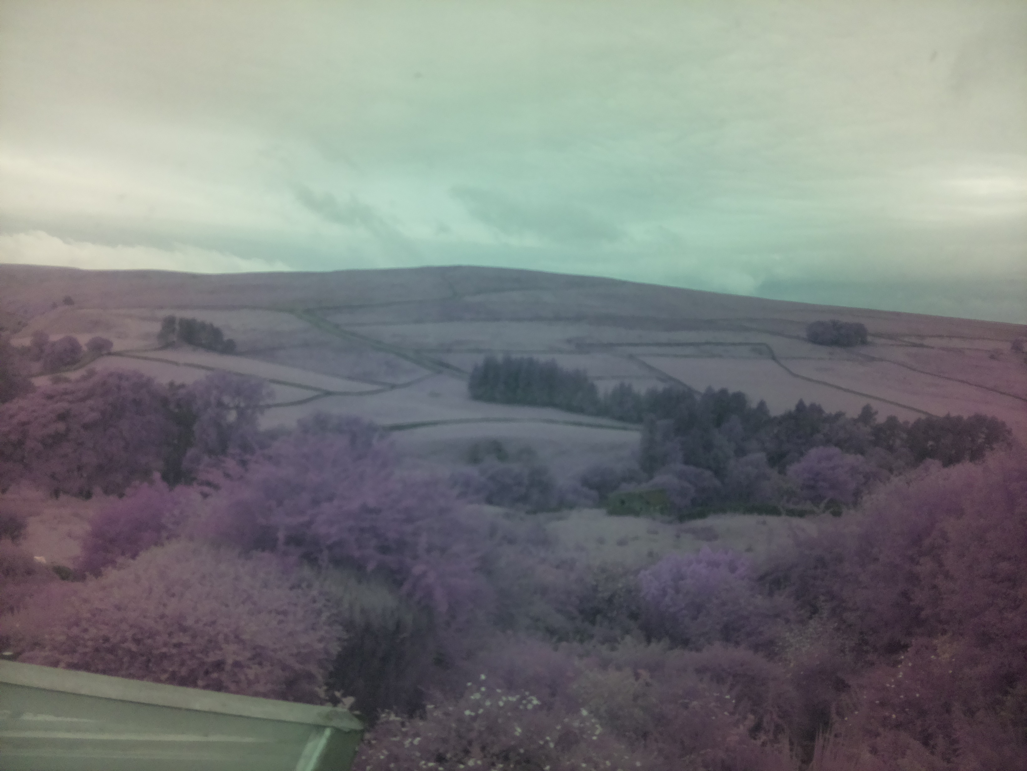 raspi webcam photo