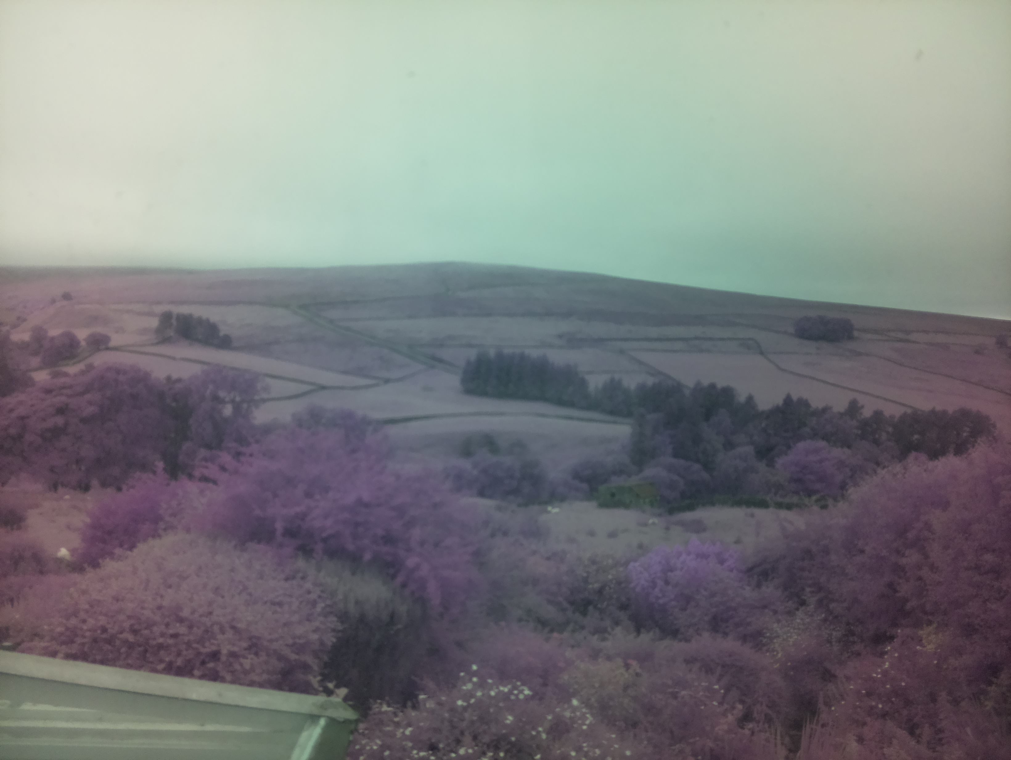 raspi webcam photo