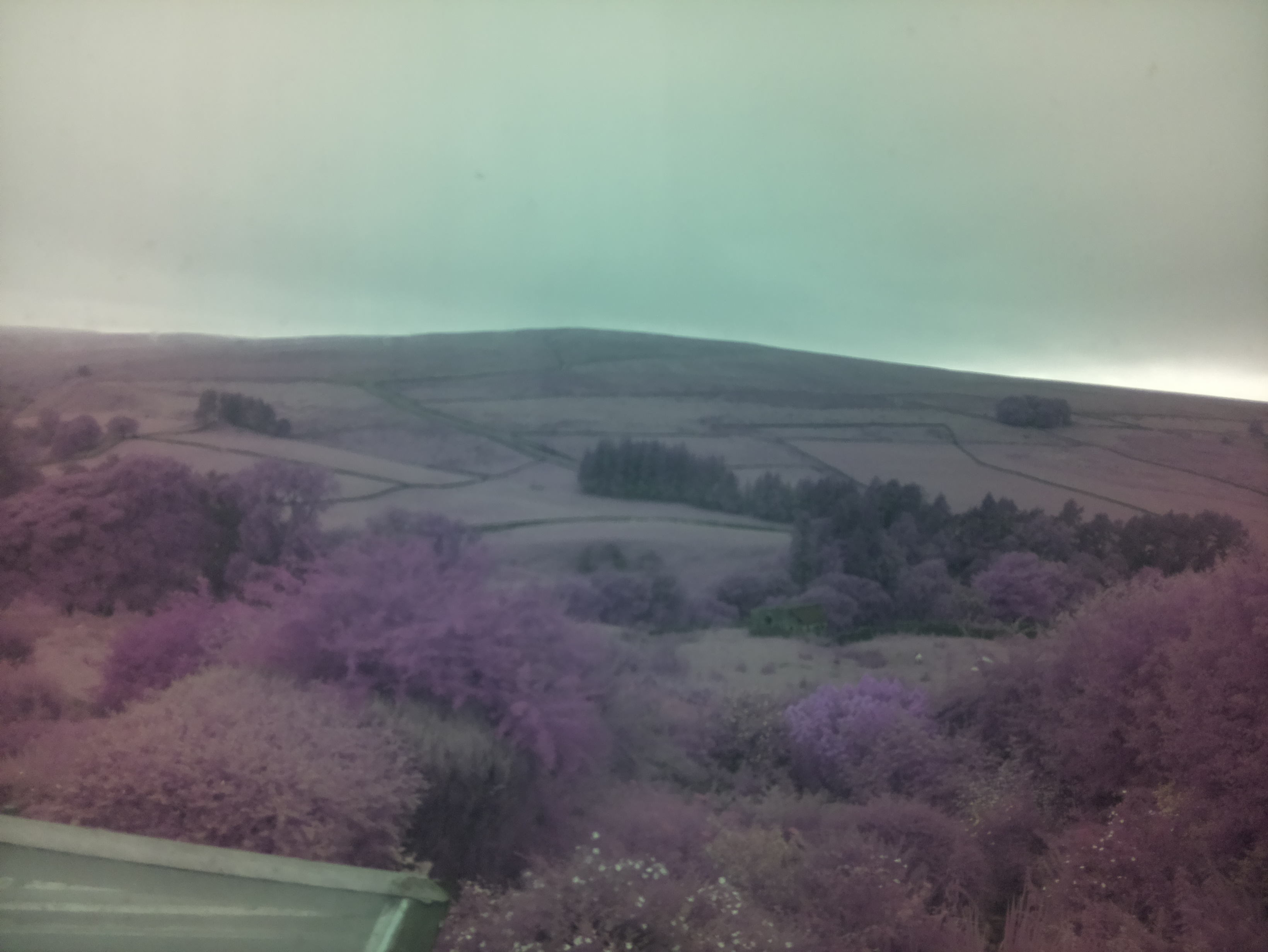 raspi webcam photo