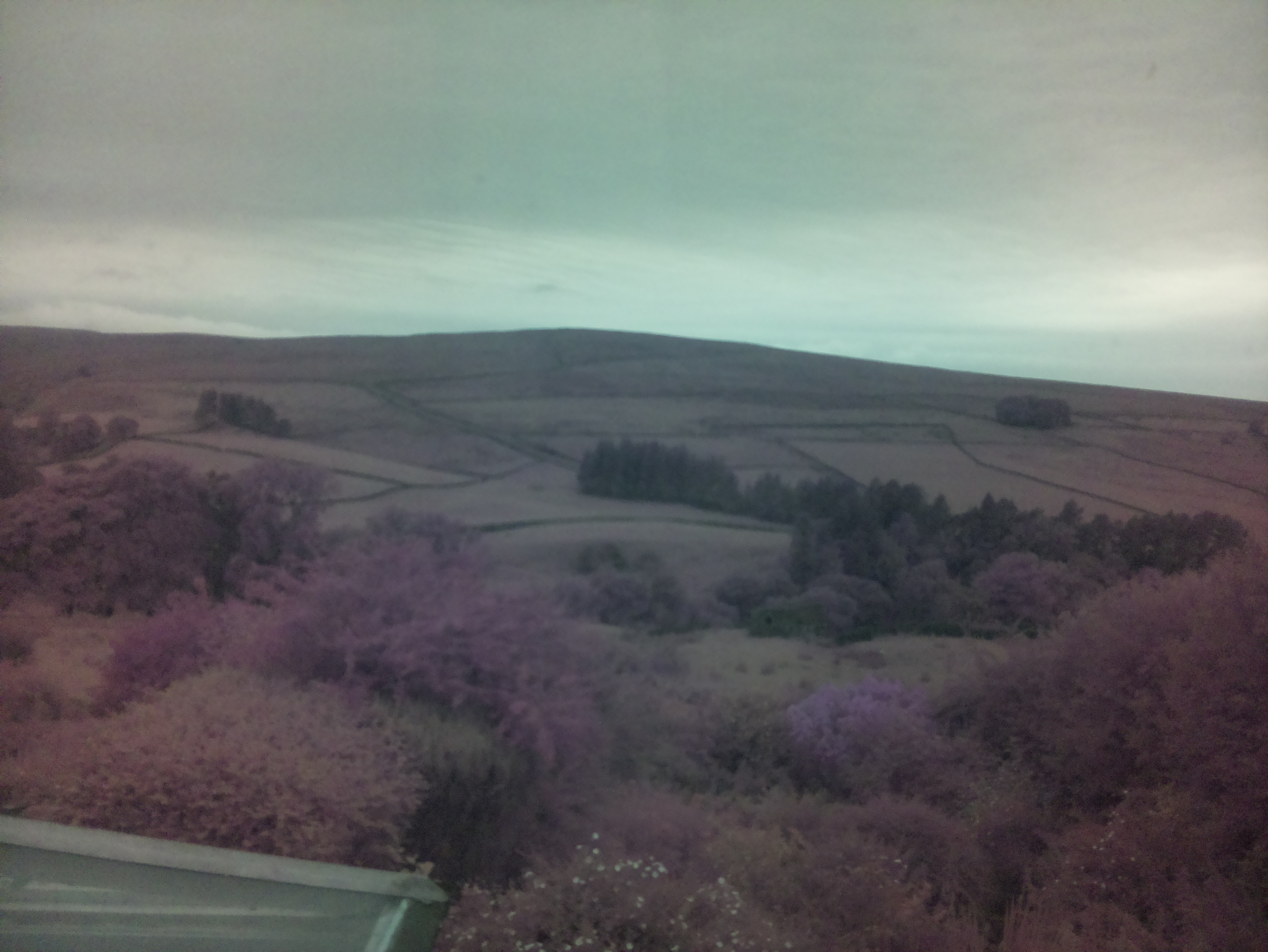 raspi webcam photo