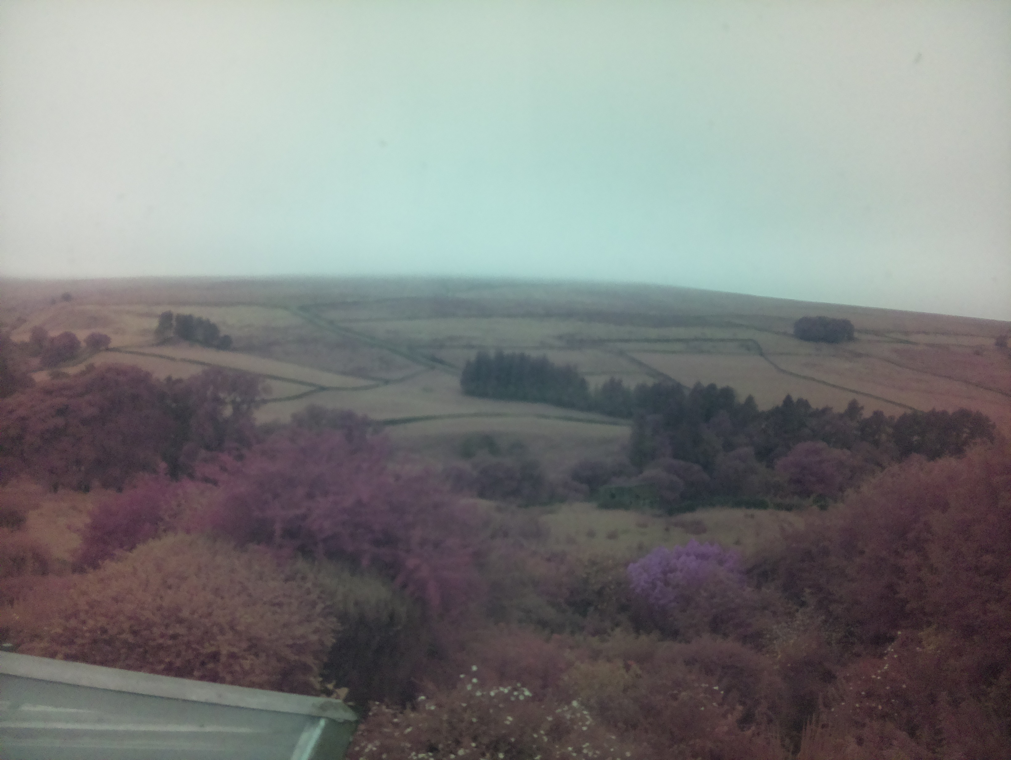 raspi webcam photo