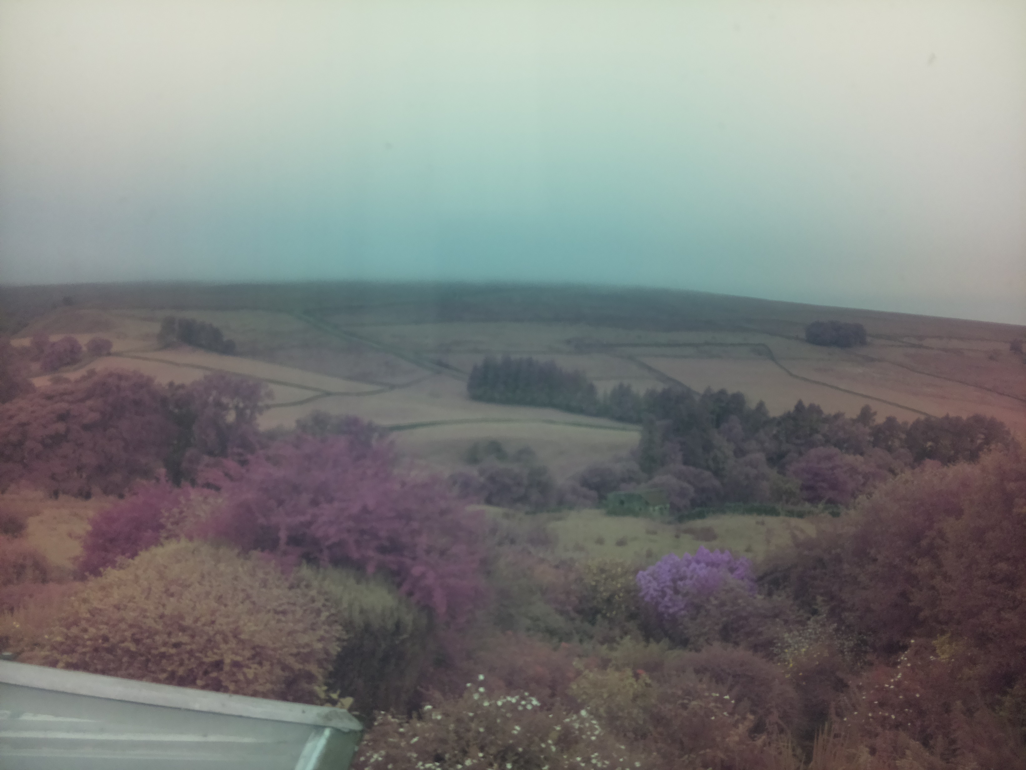 raspi webcam photo