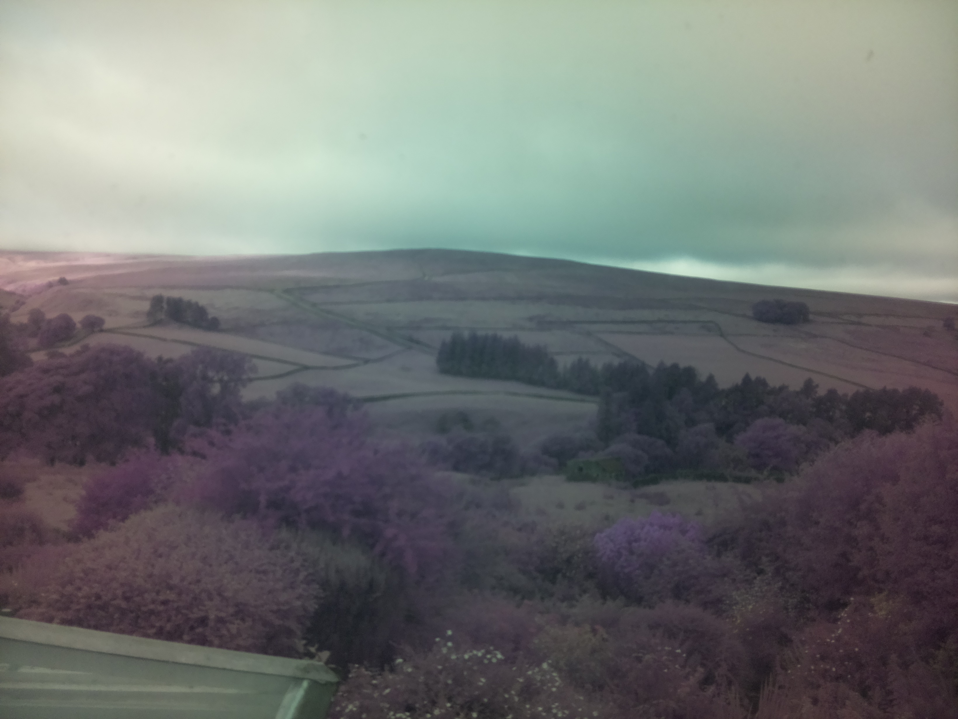 raspi webcam photo
