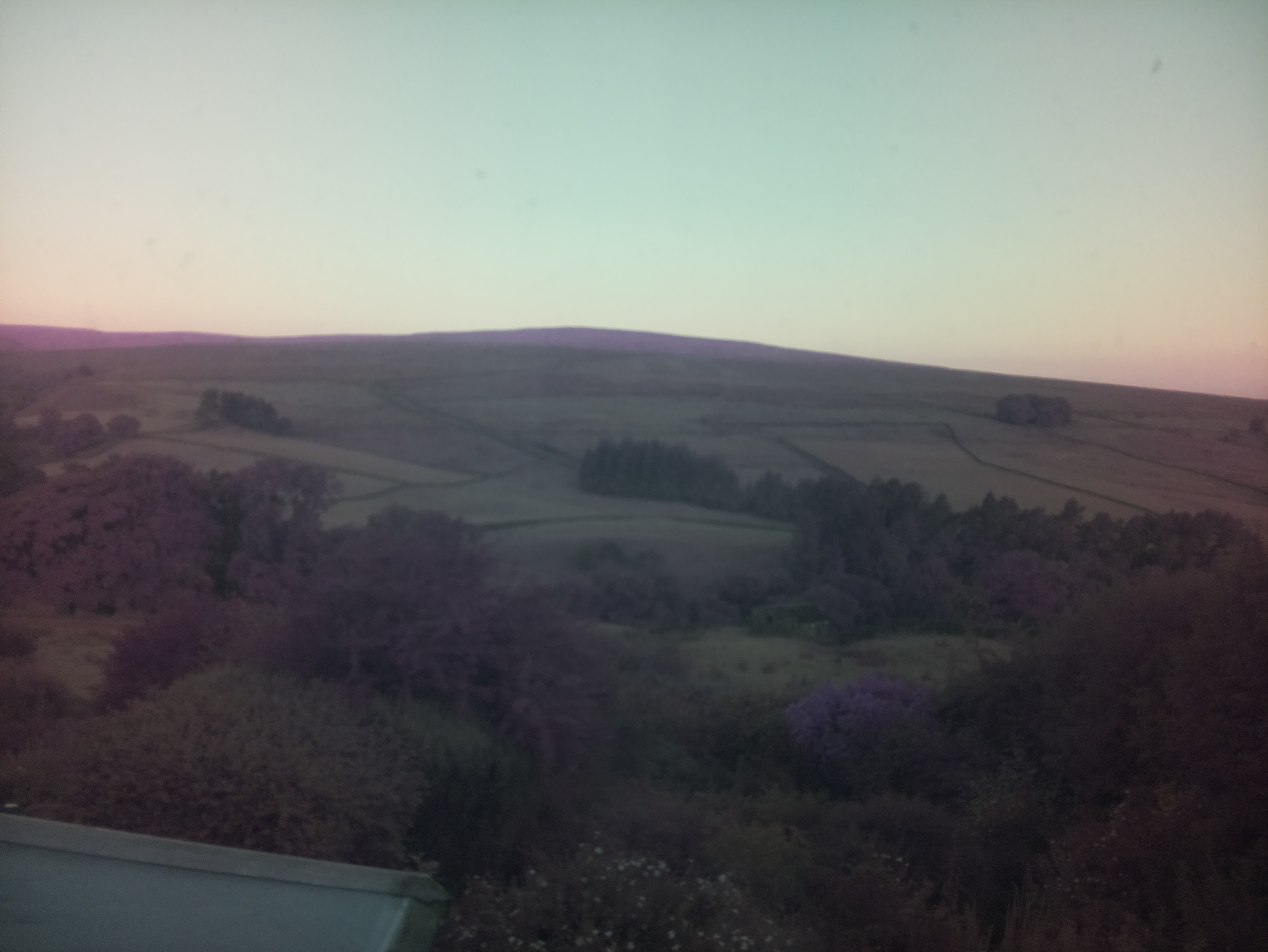 raspi webcam photo