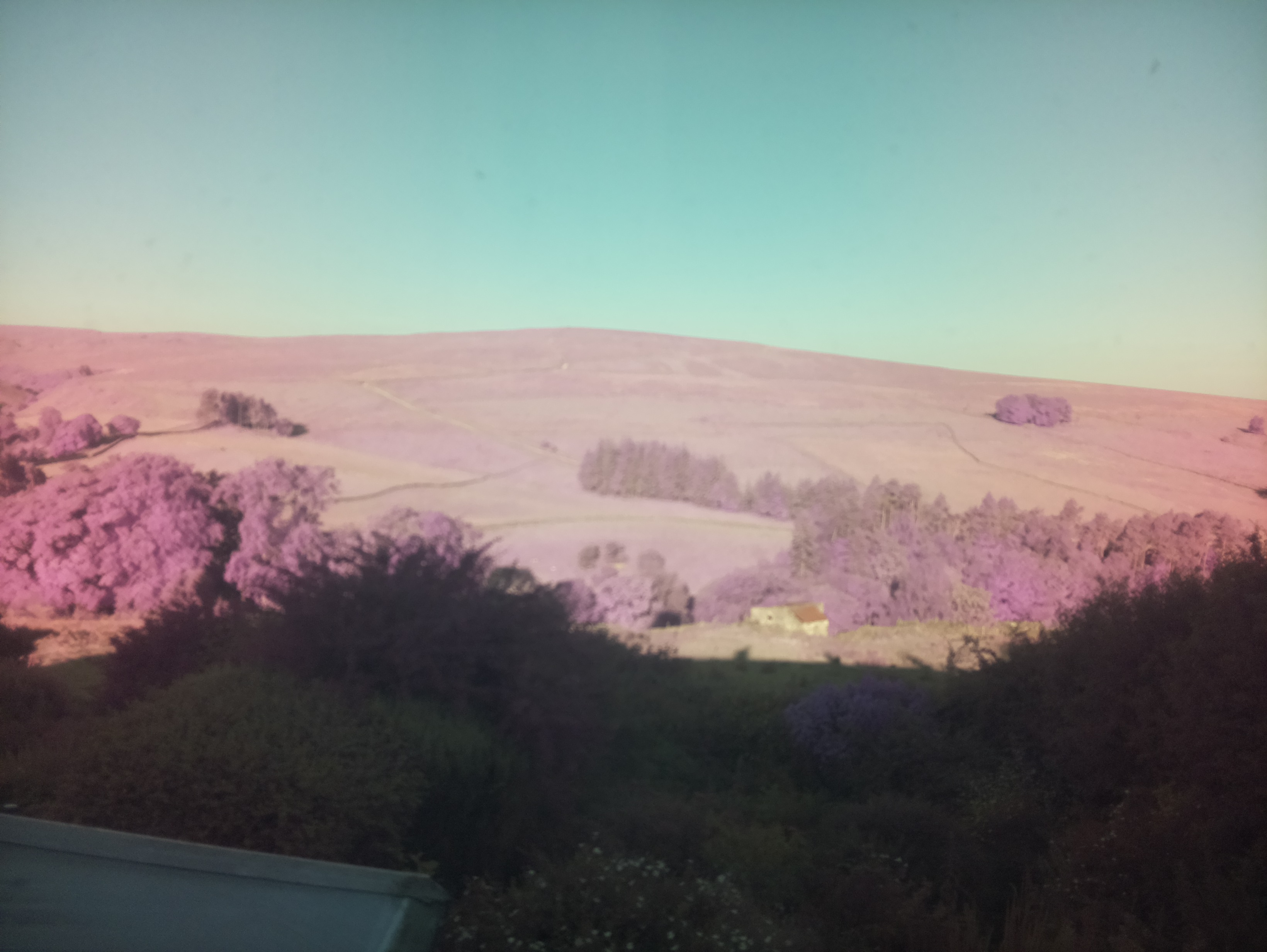 raspi webcam photo