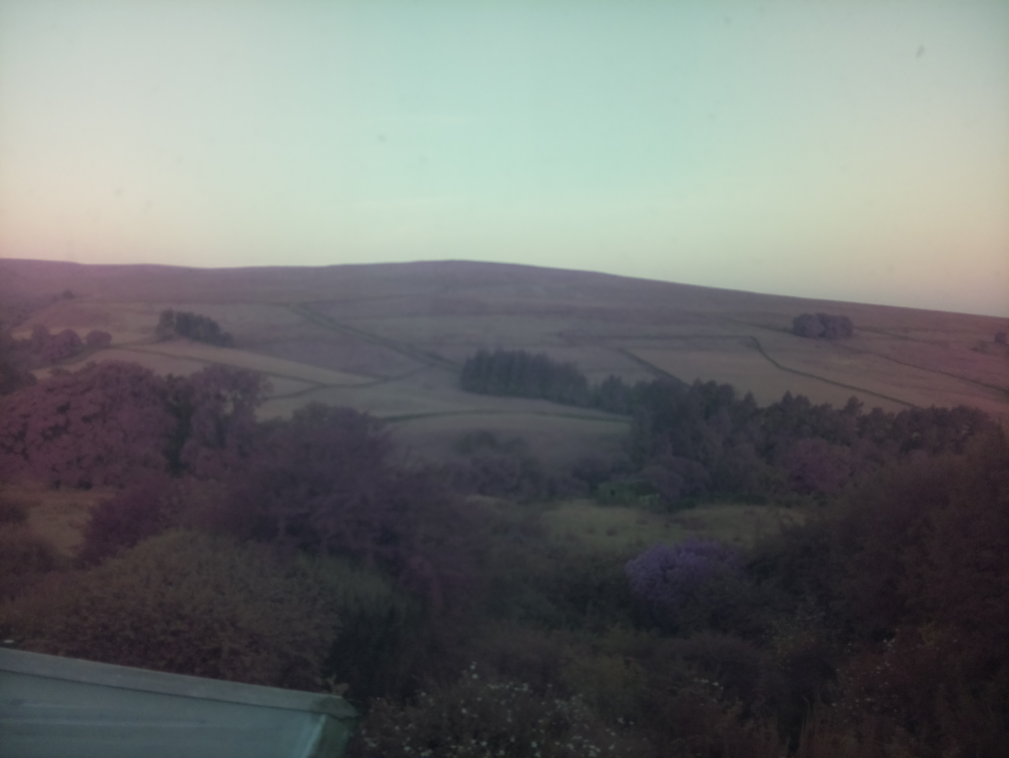 raspi webcam photo