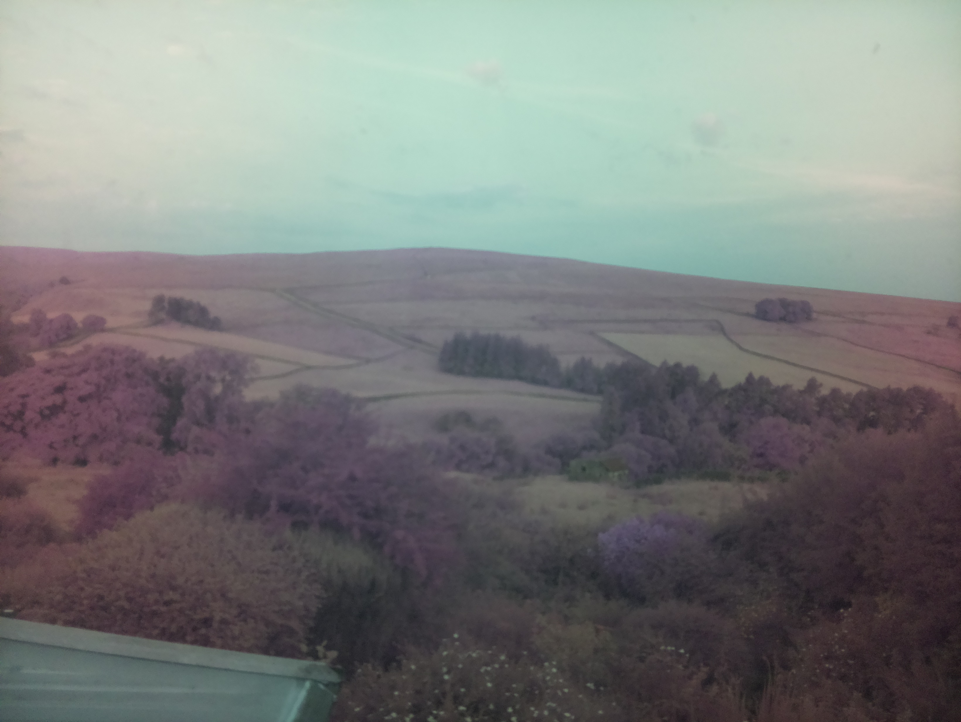 raspi webcam photo