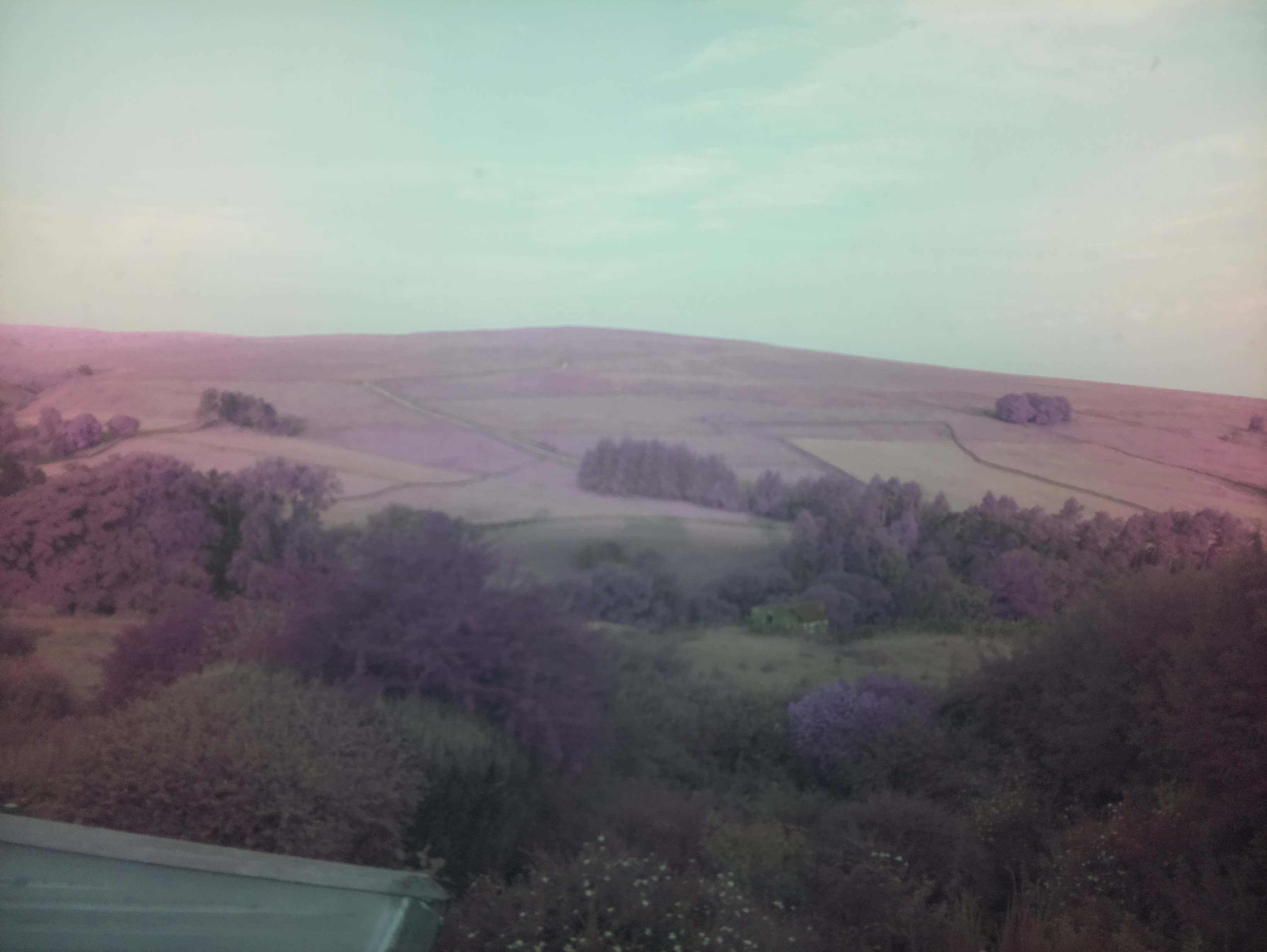 raspi webcam photo