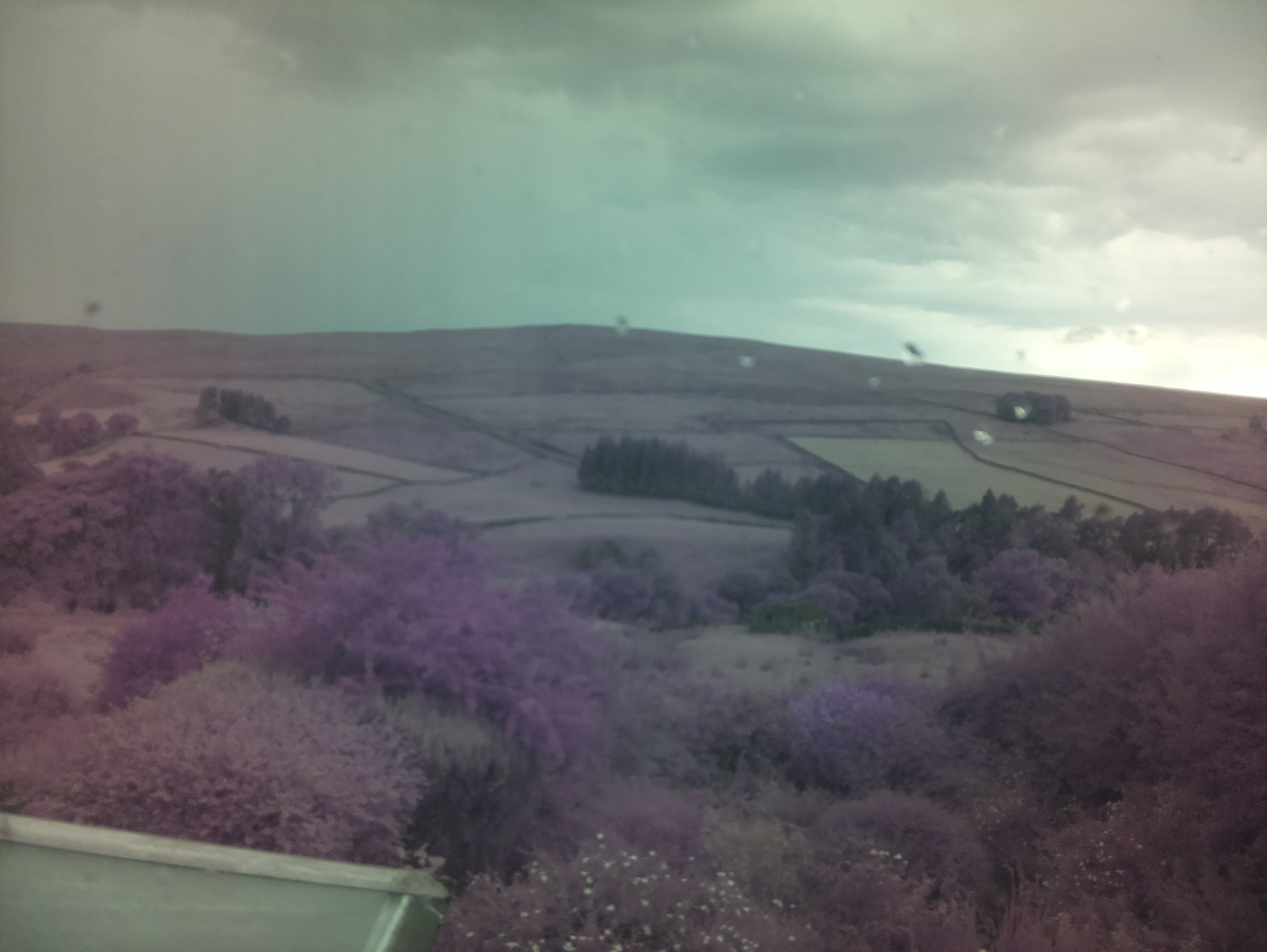 raspi webcam photo