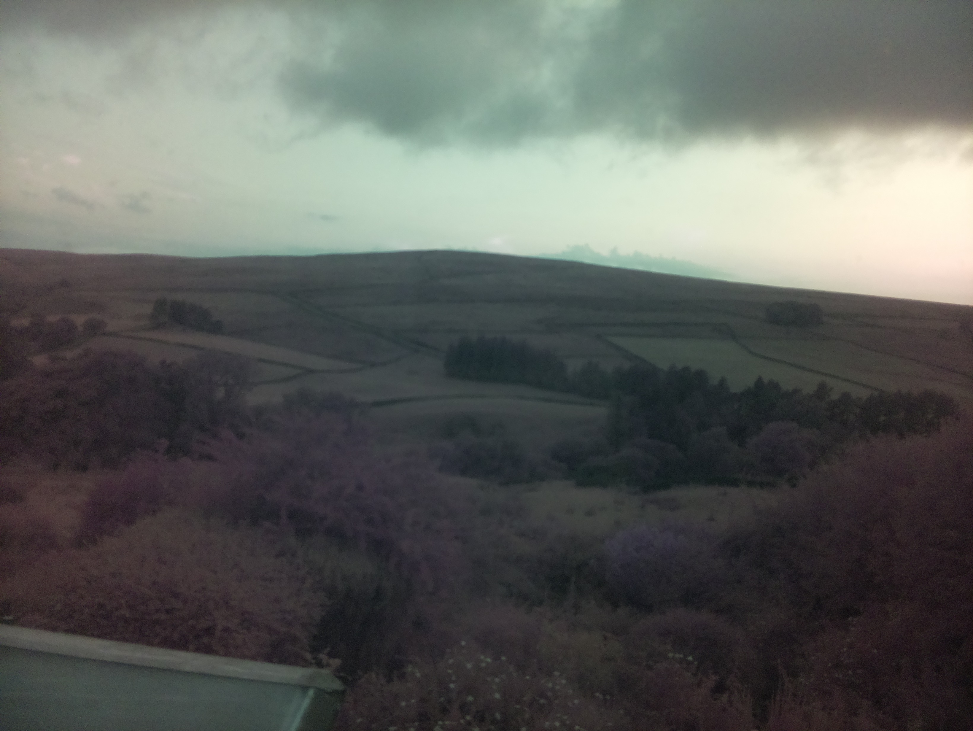 raspi webcam photo