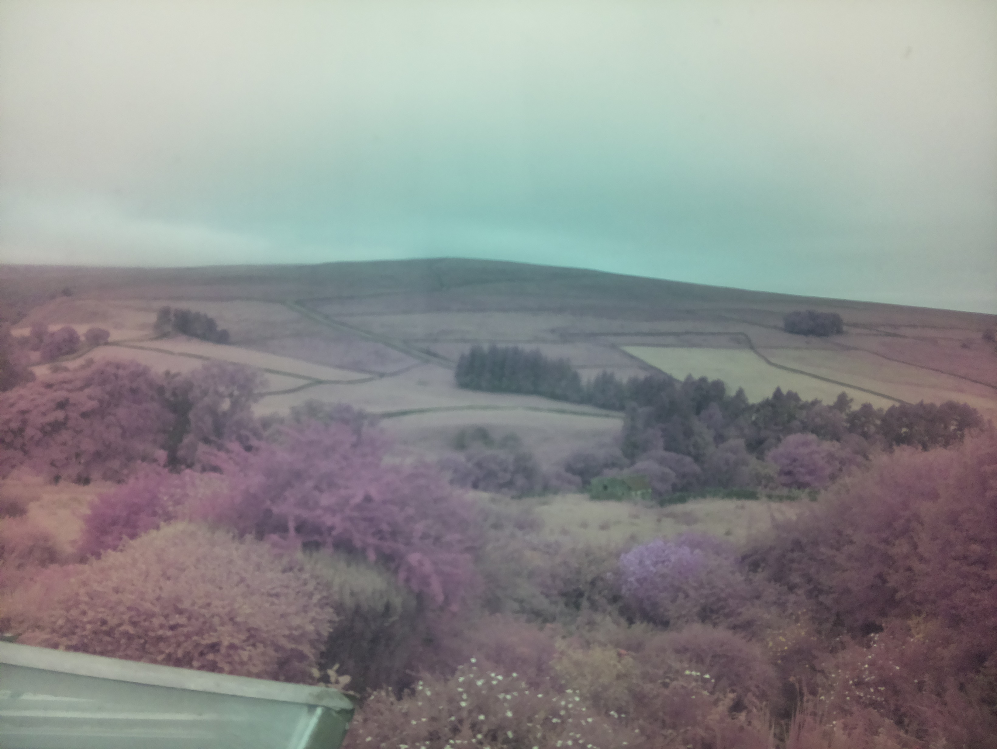 raspi webcam photo