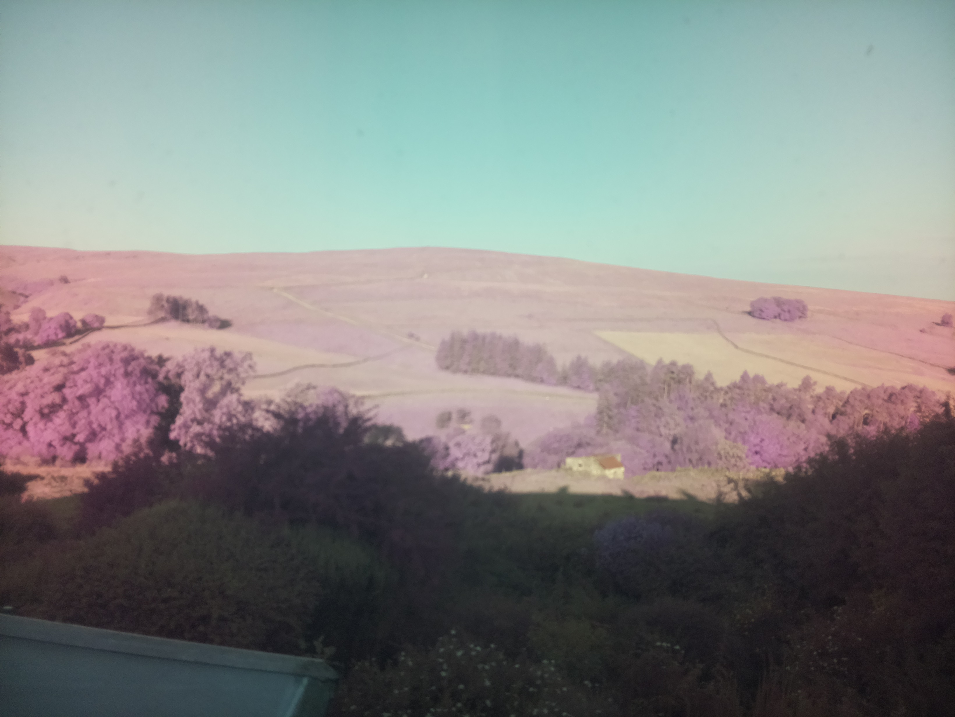 raspi webcam photo