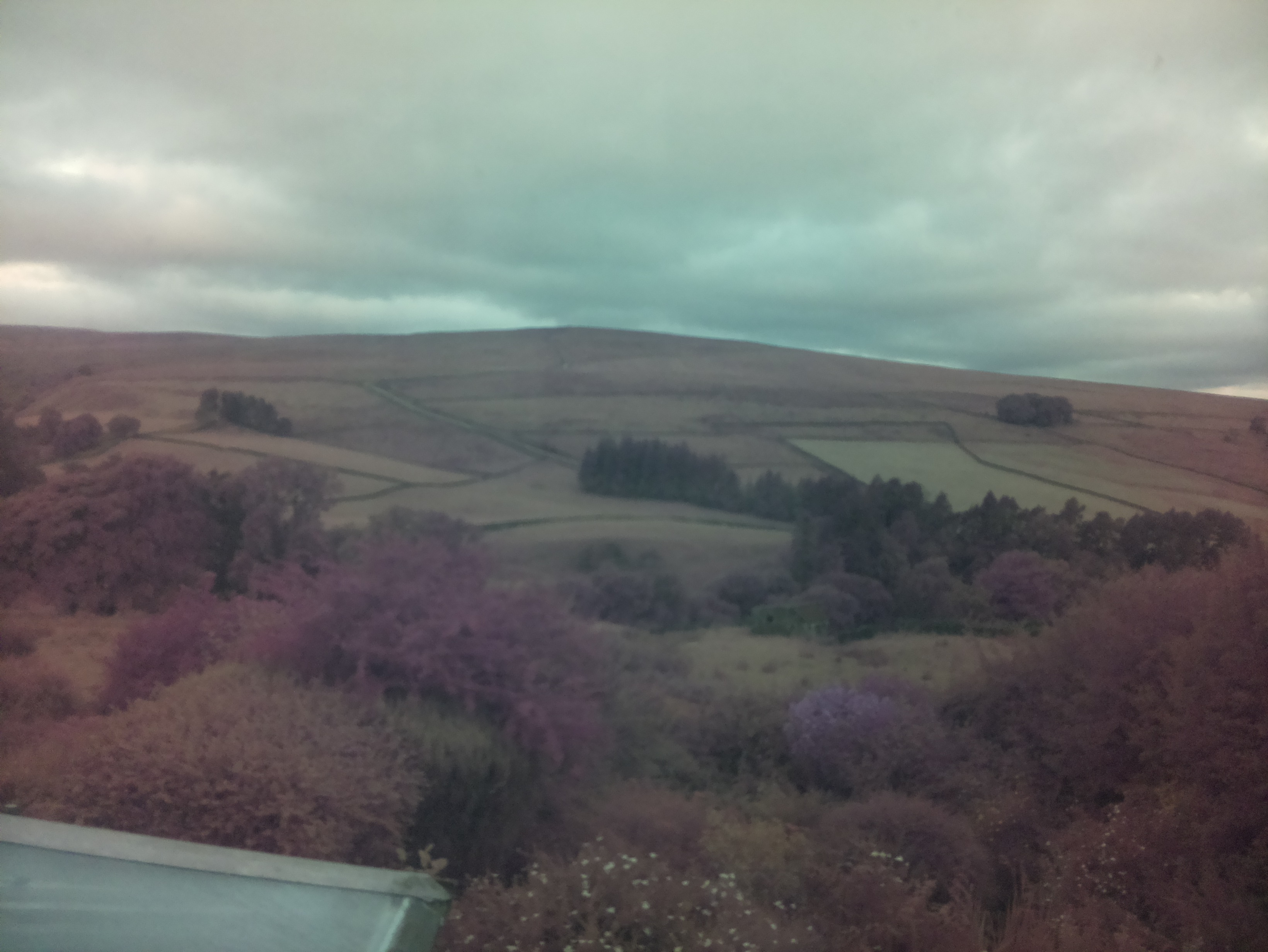 raspi webcam photo