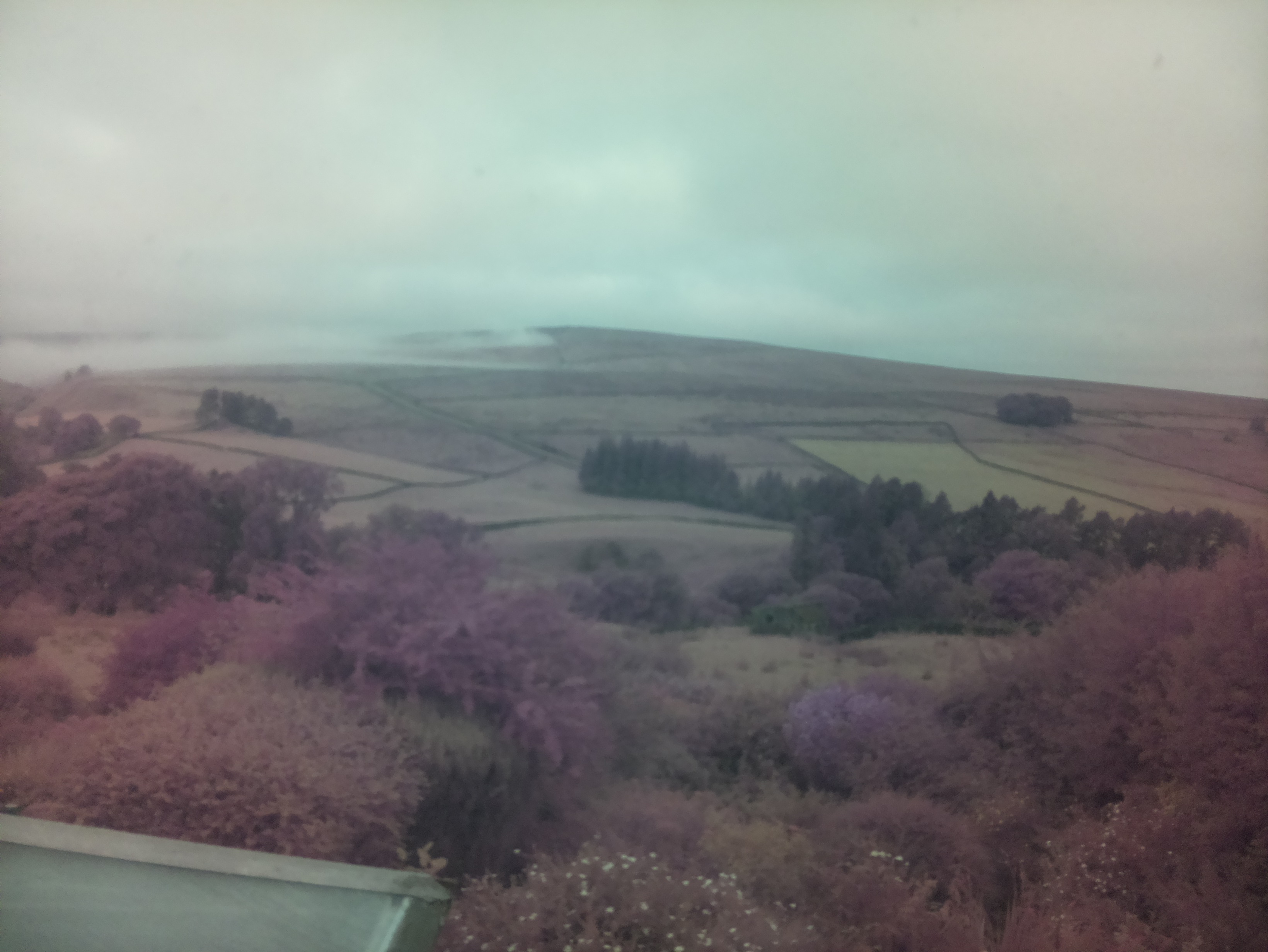 raspi webcam photo