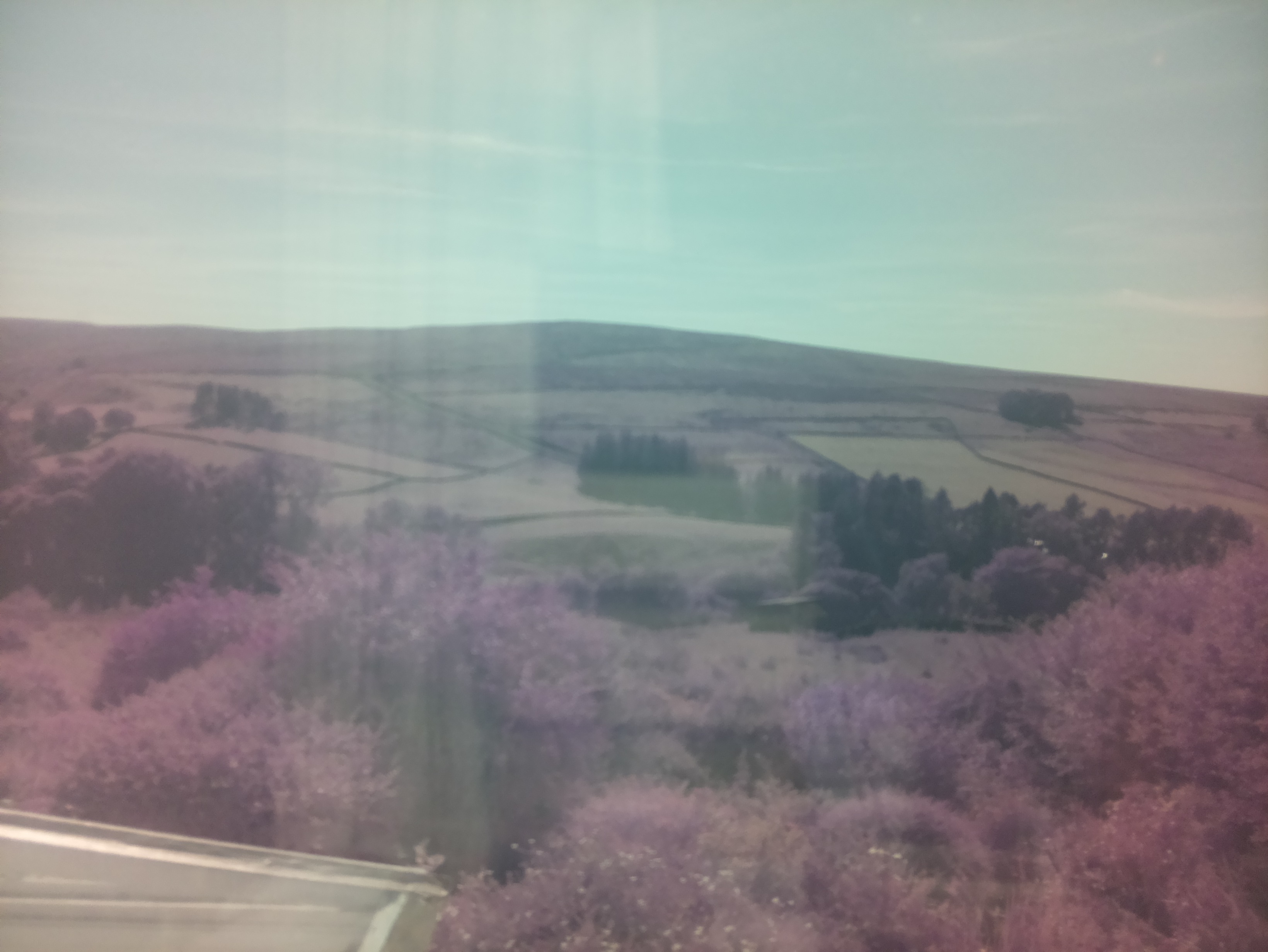 raspi webcam photo