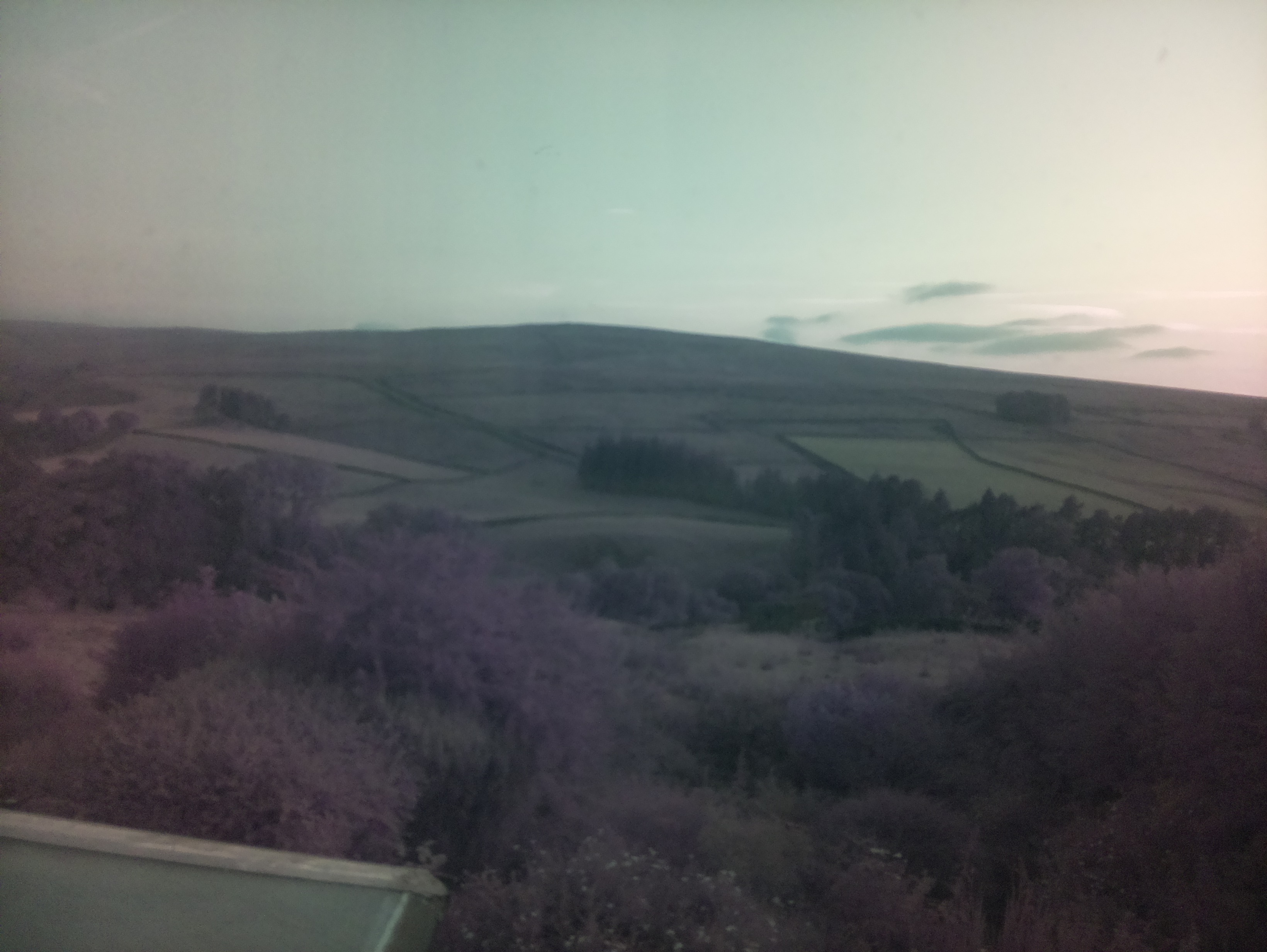 raspi webcam photo
