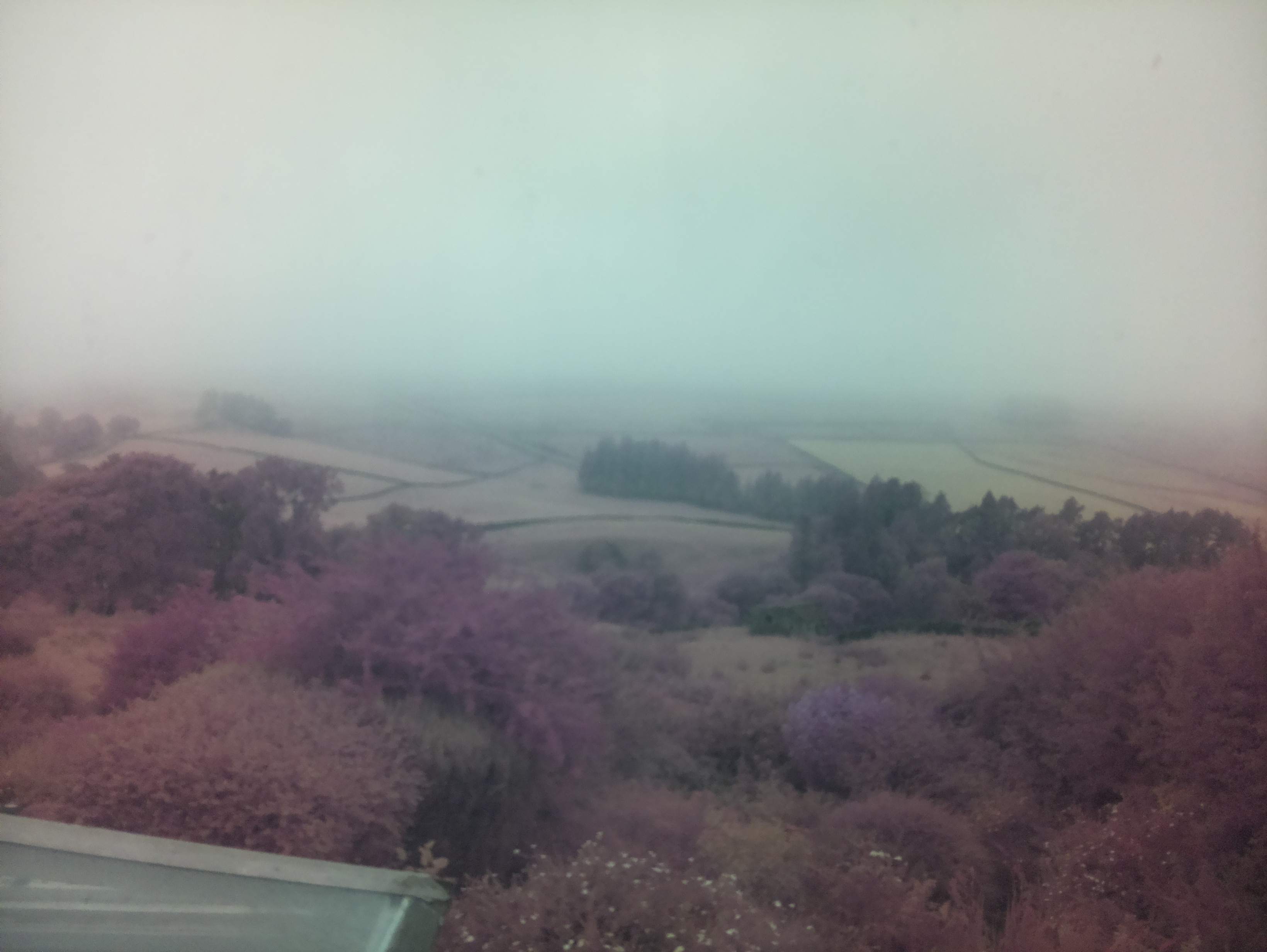raspi webcam photo