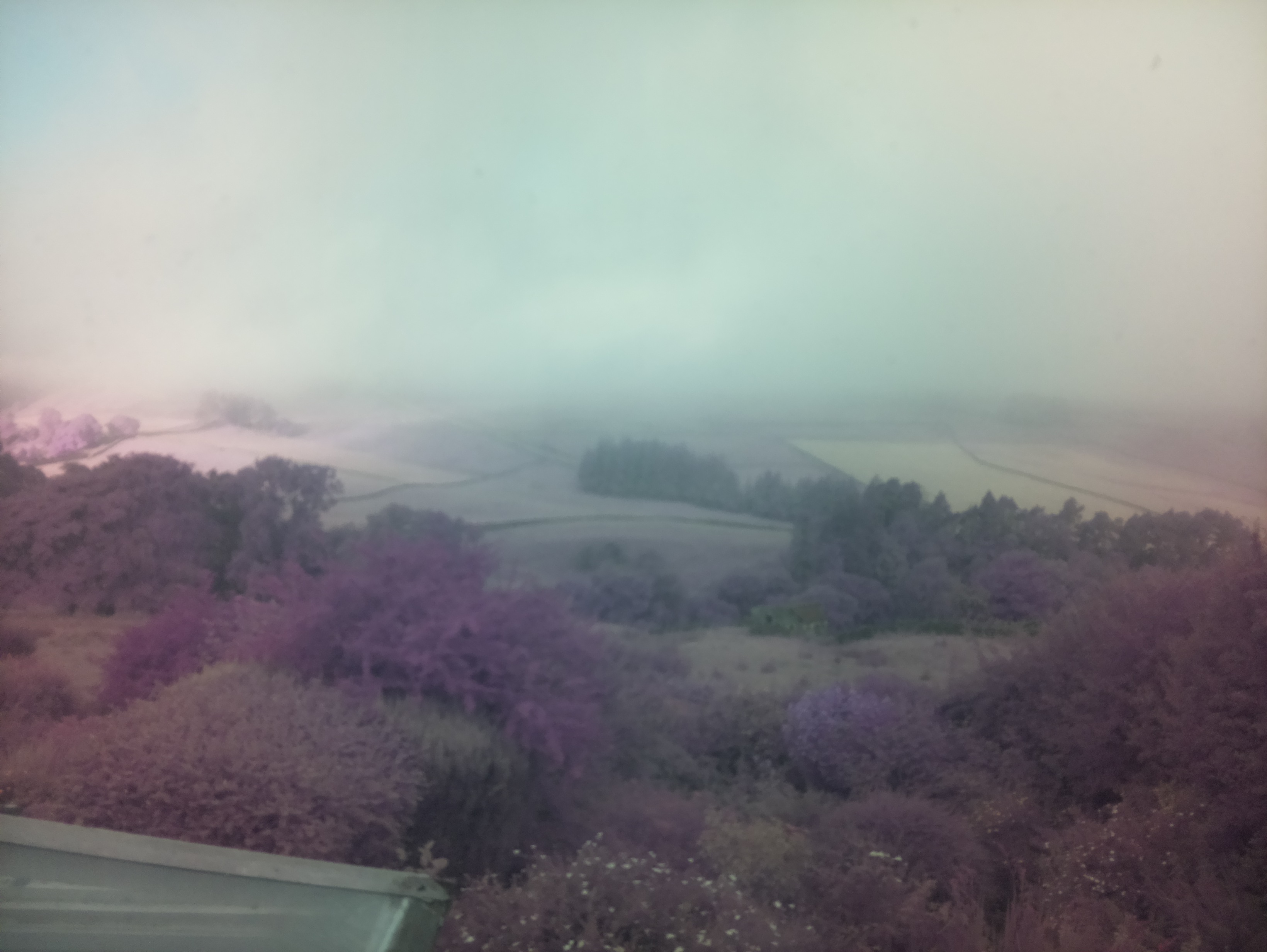 raspi webcam photo