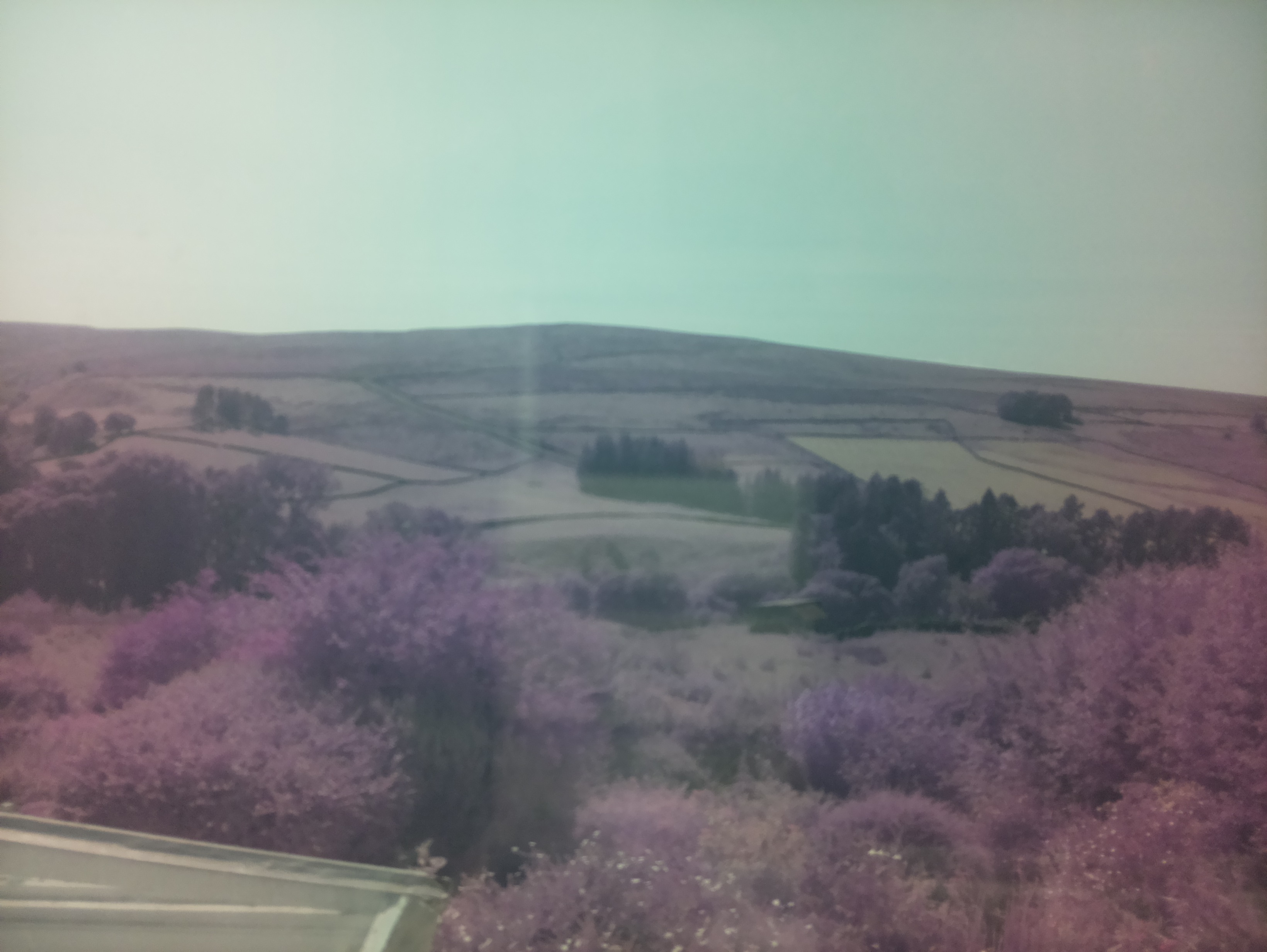raspi webcam photo