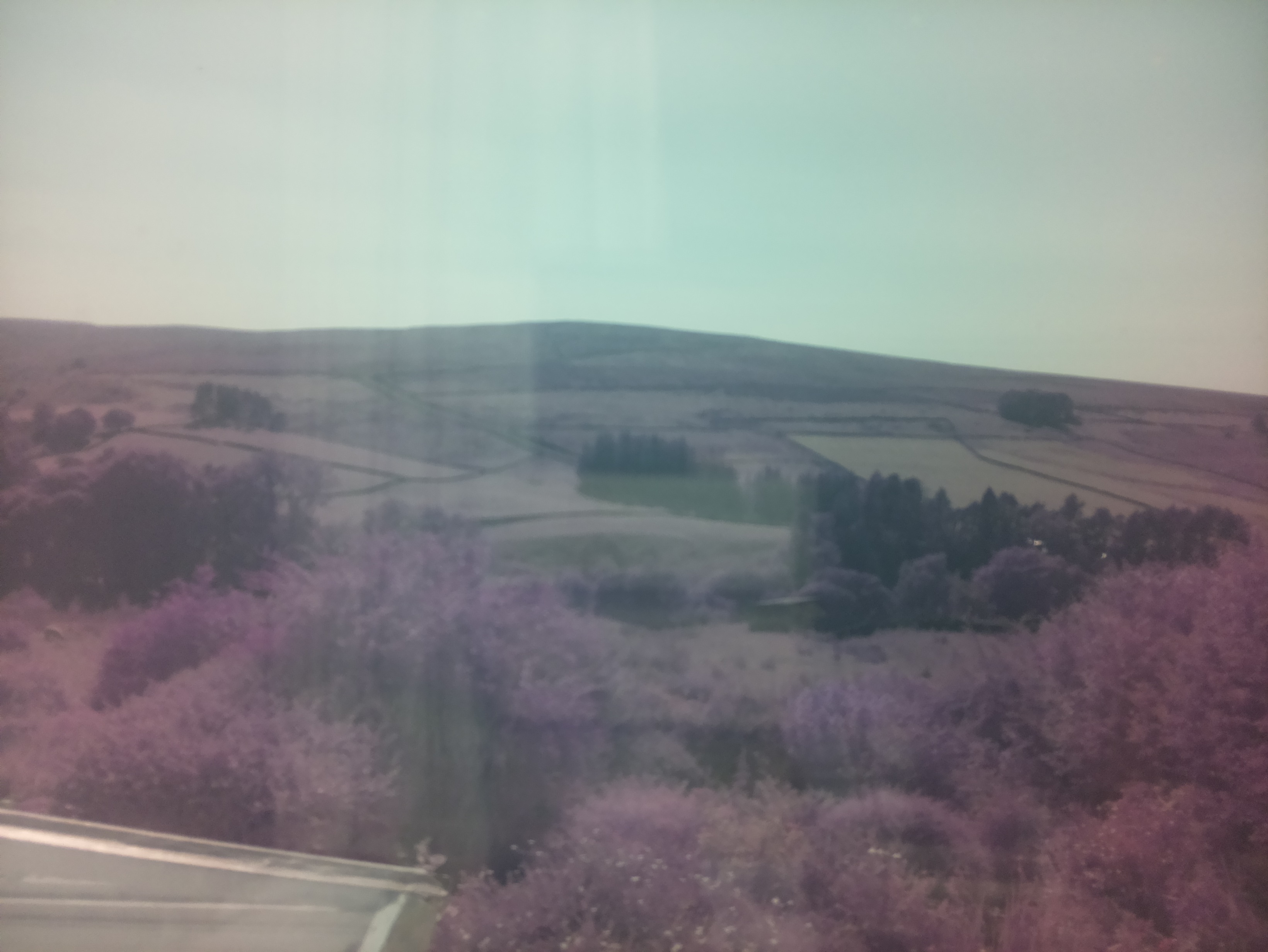 raspi webcam photo