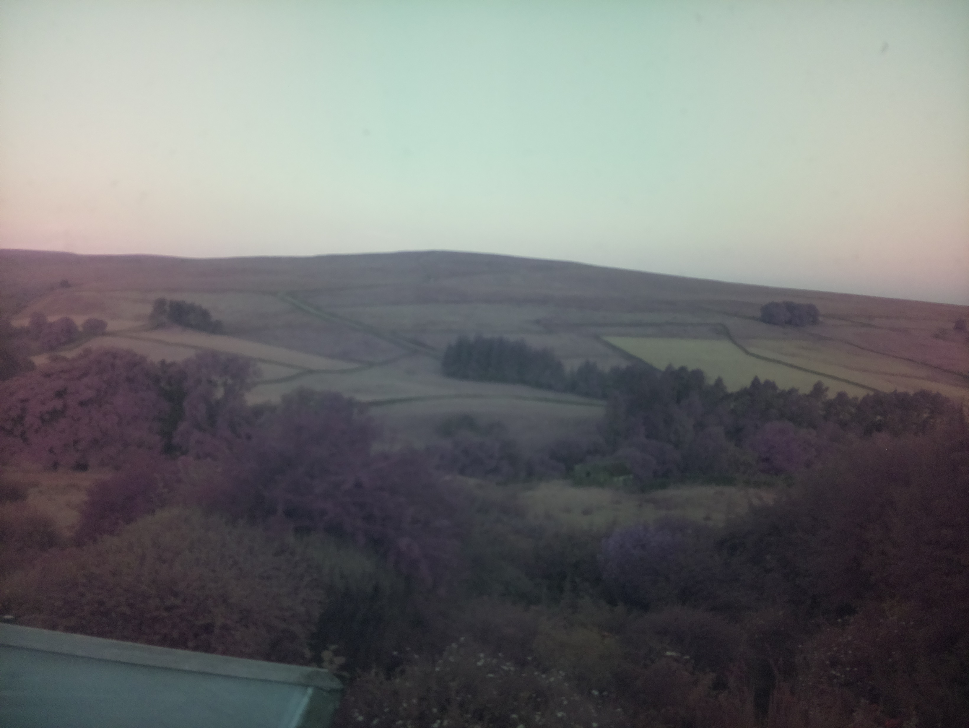 raspi webcam photo