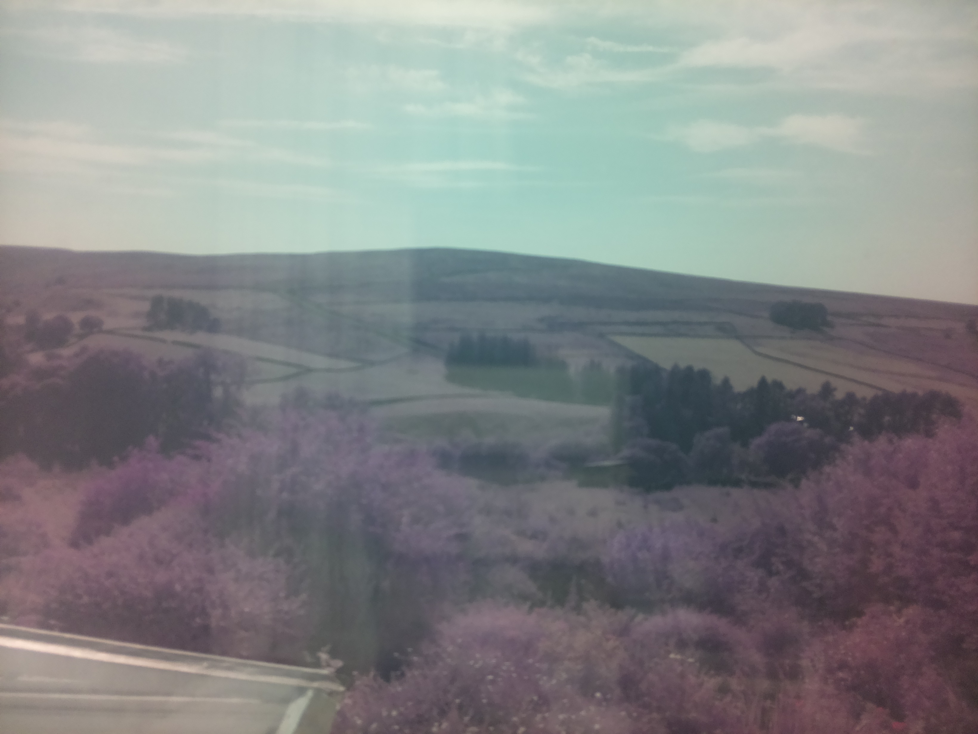 raspi webcam photo