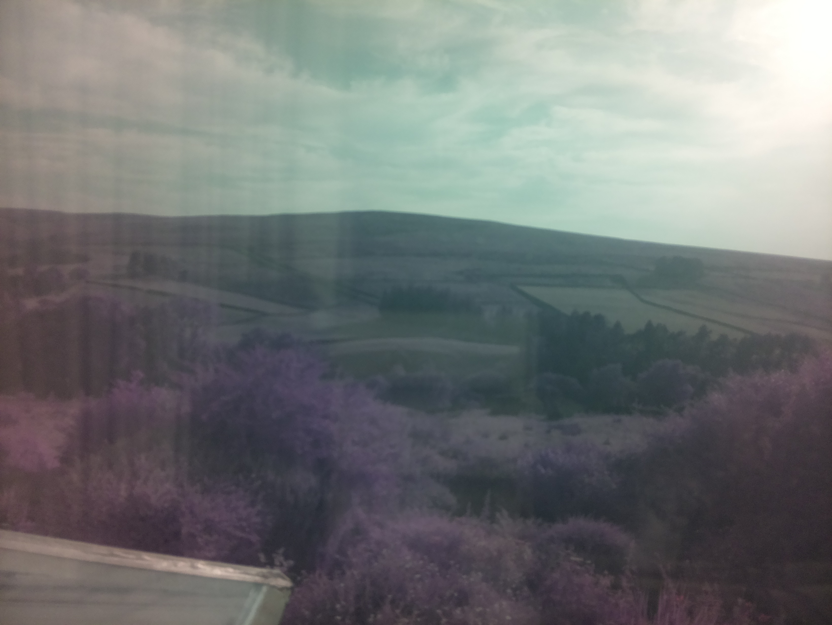 raspi webcam photo