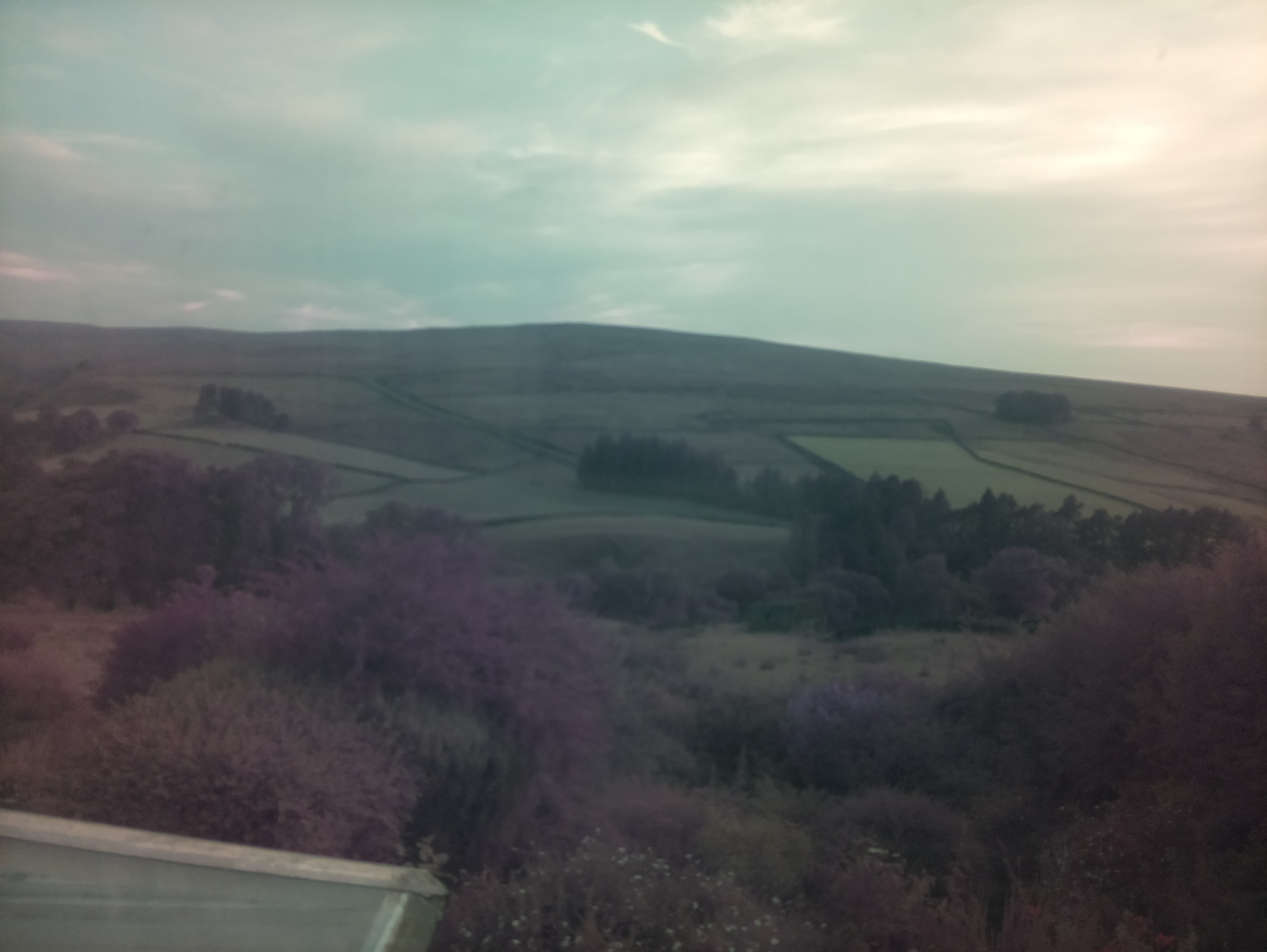 raspi webcam photo