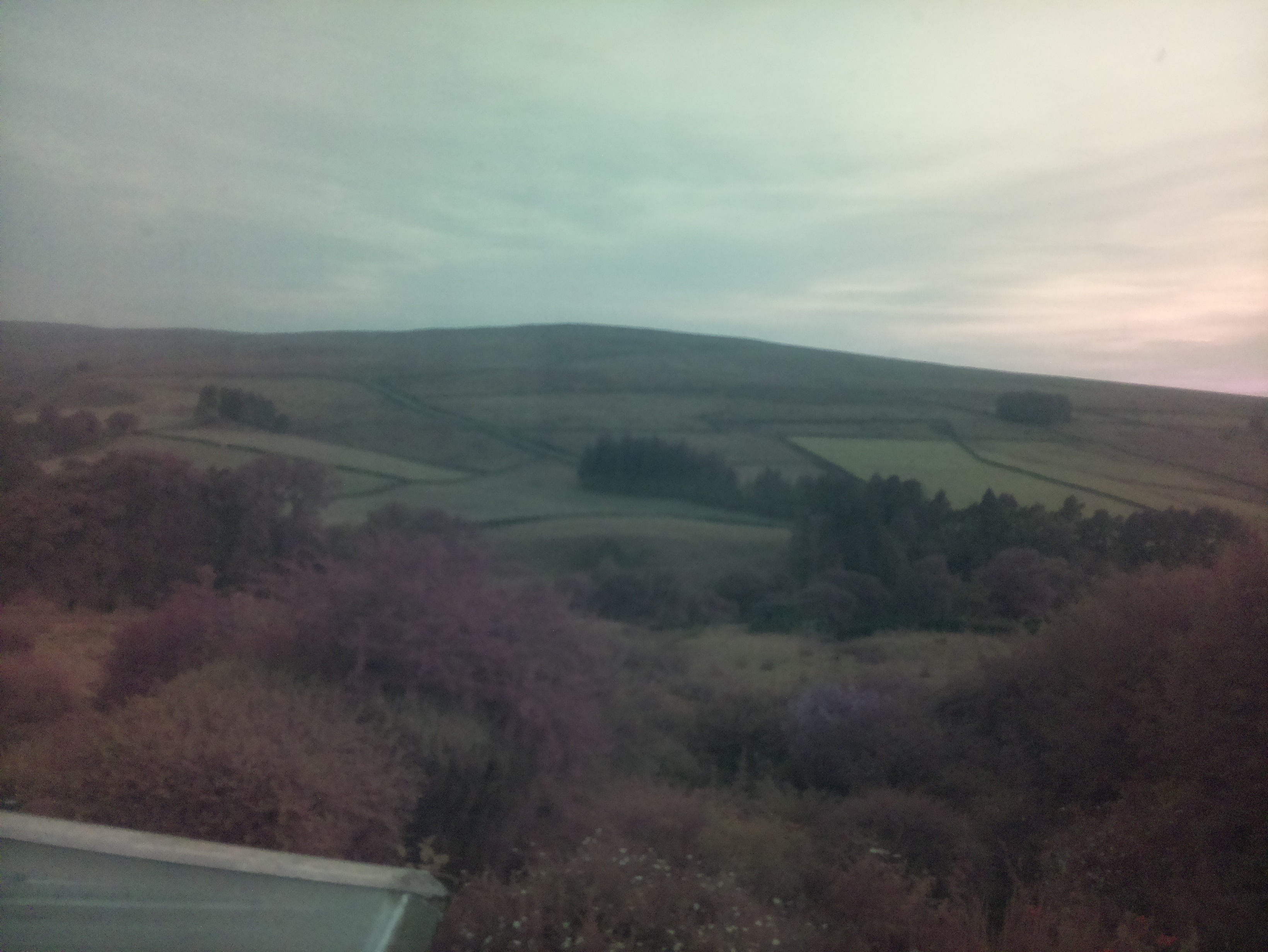 raspi webcam photo