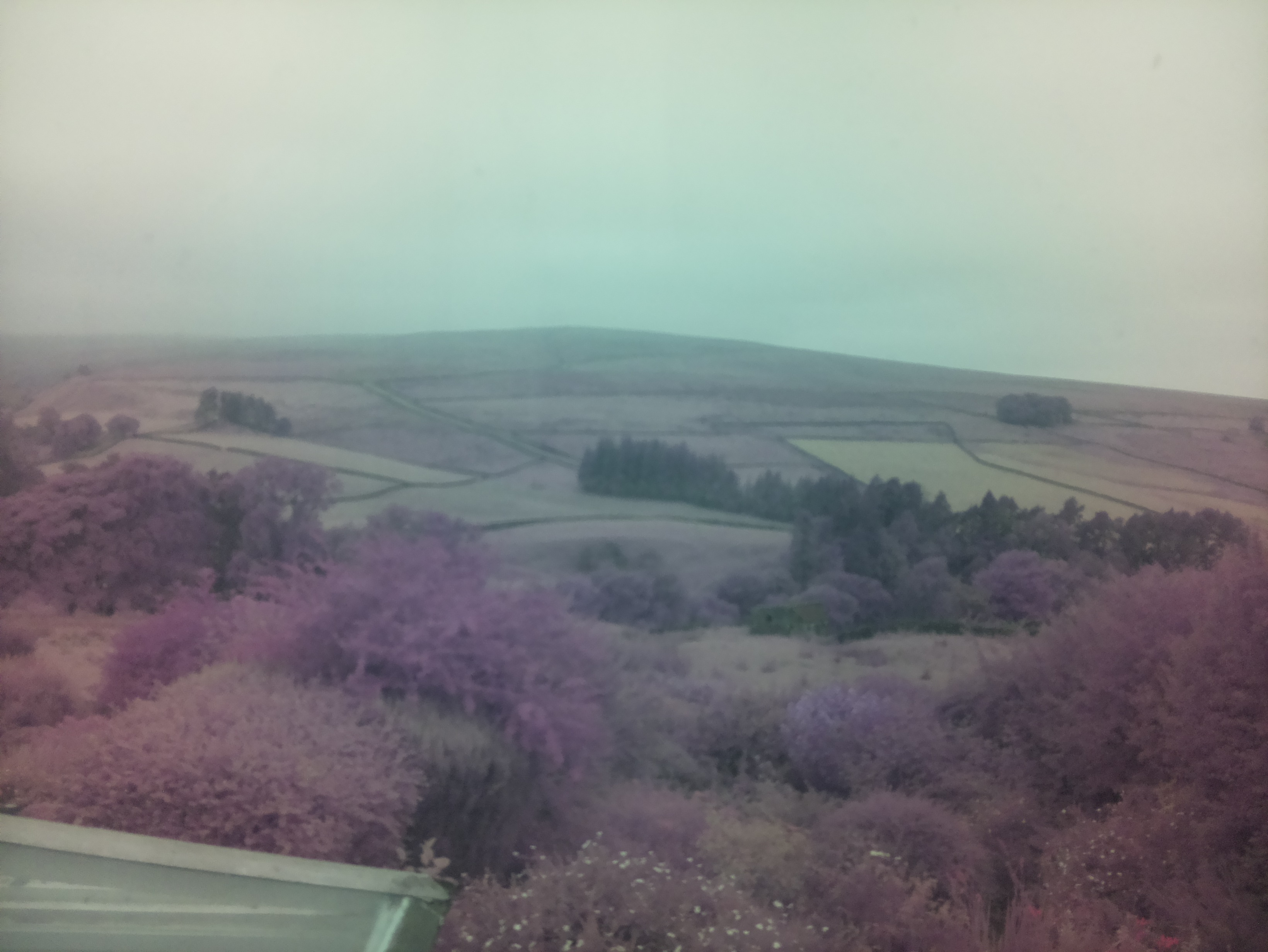 raspi webcam photo