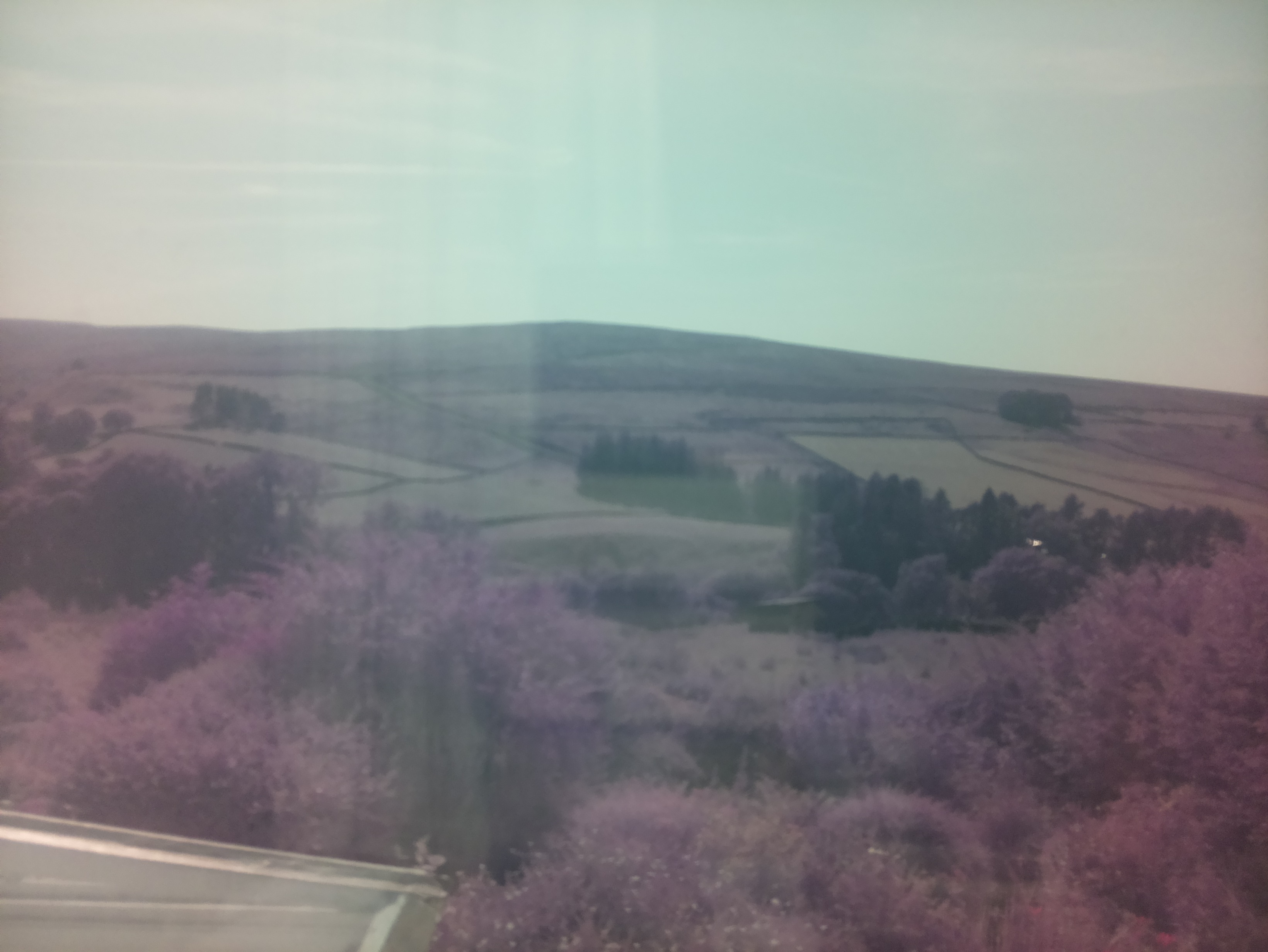 raspi webcam photo