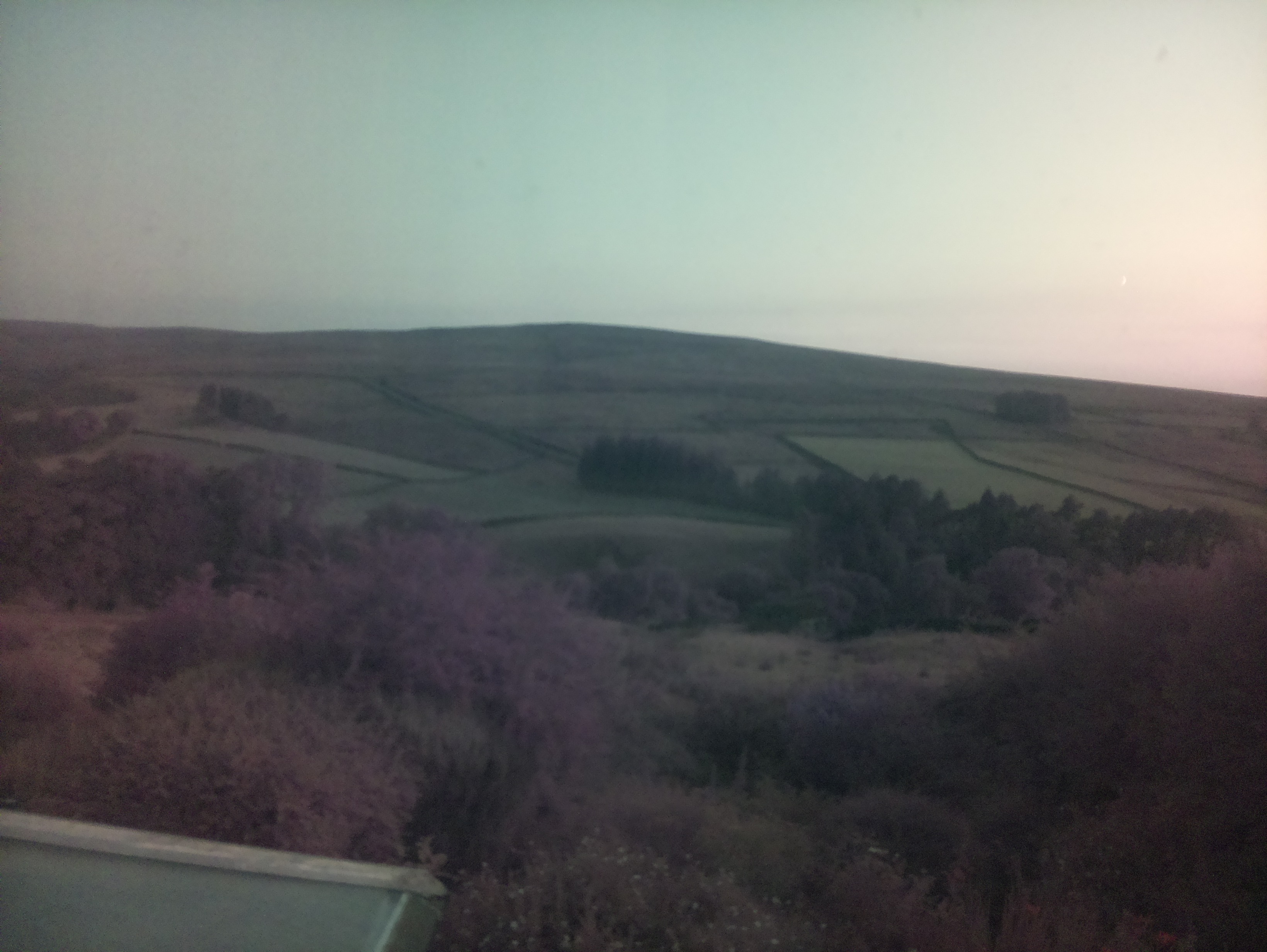 raspi webcam photo