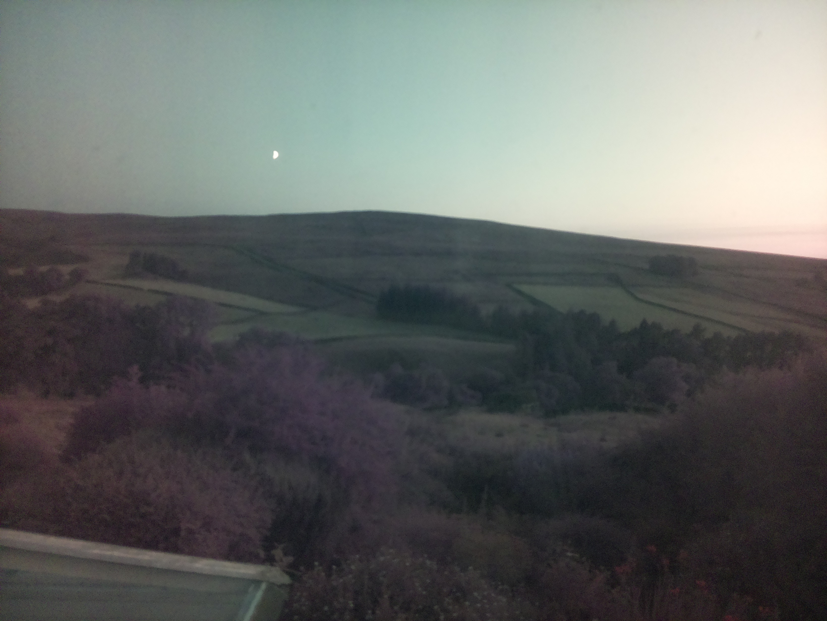 raspi webcam photo