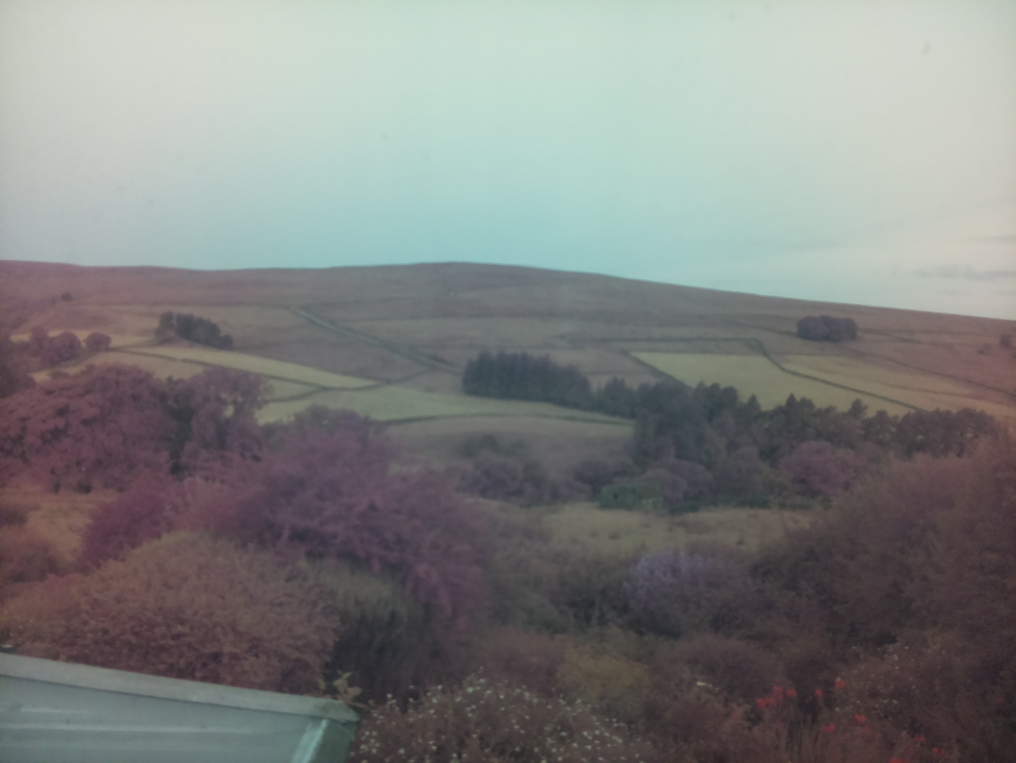 raspi webcam photo