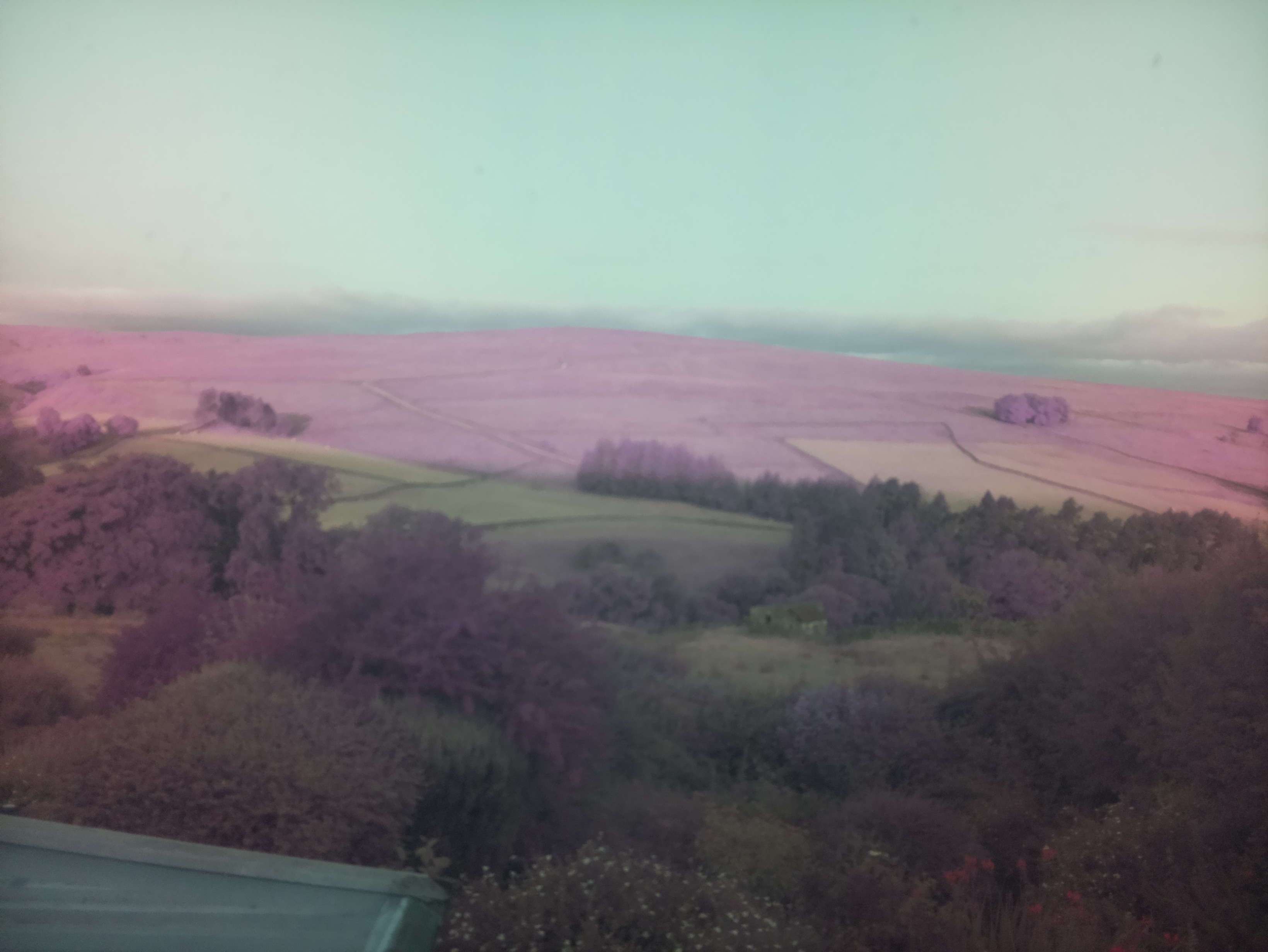 raspi webcam photo