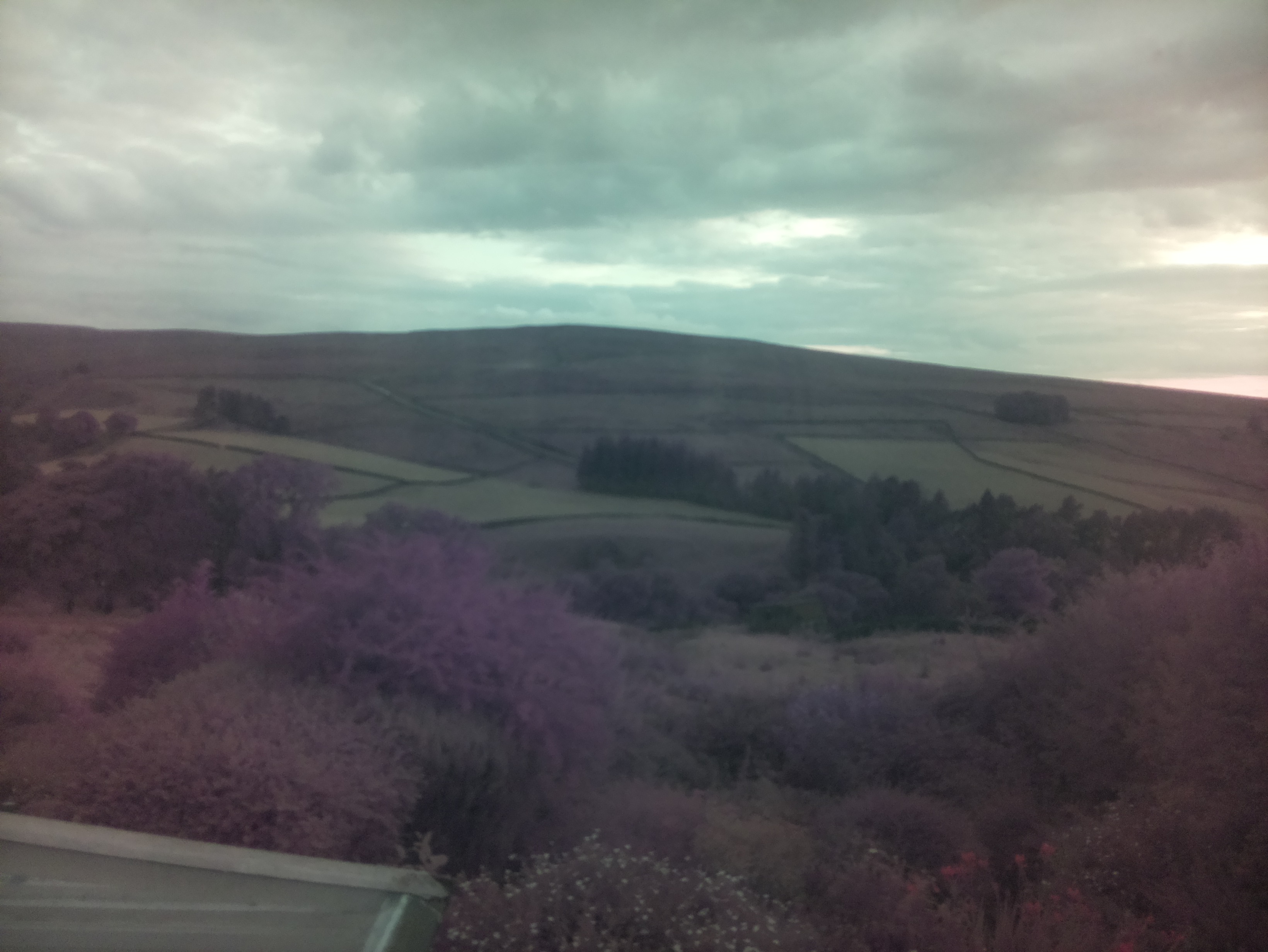 raspi webcam photo
