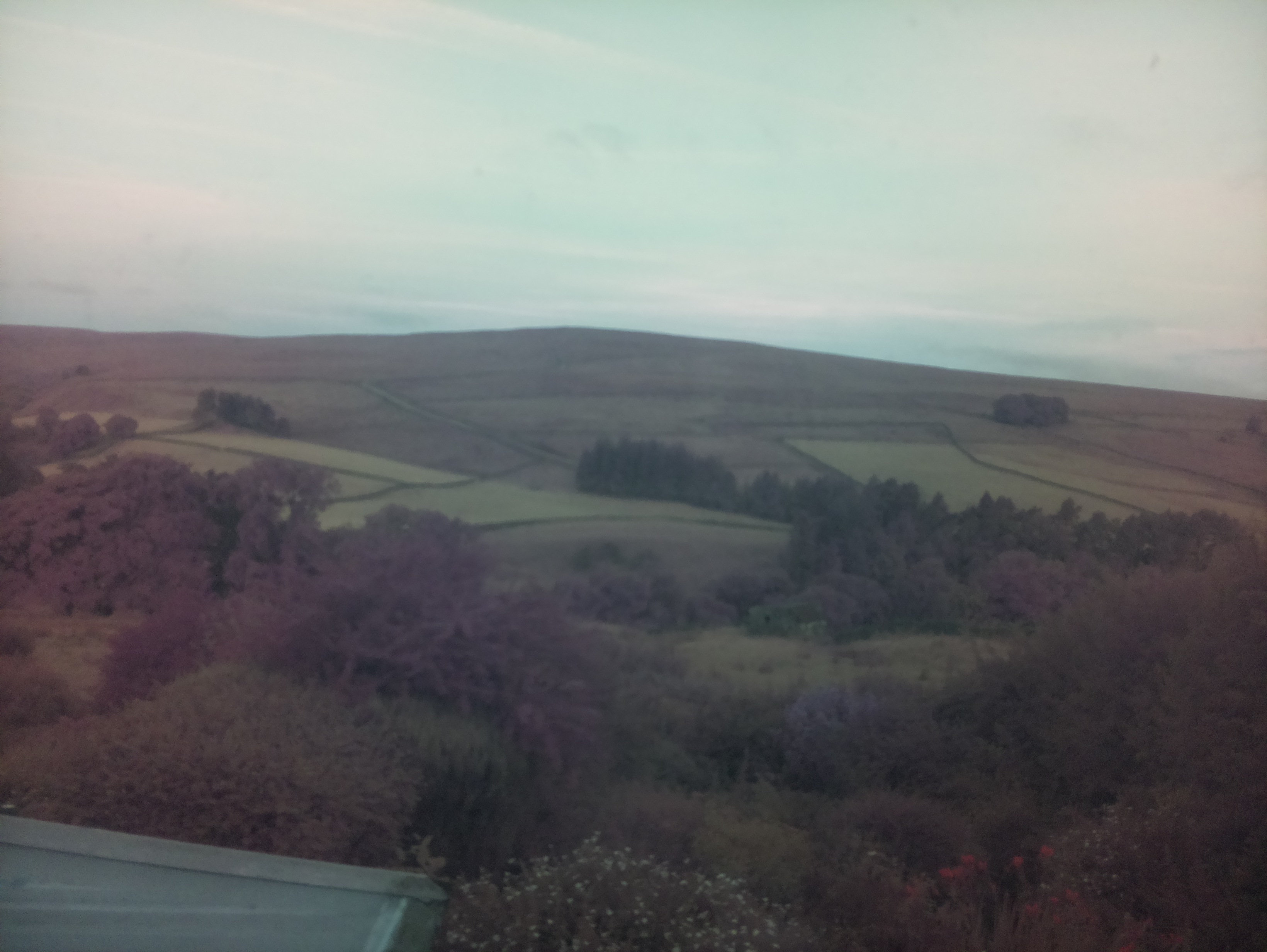 raspi webcam photo