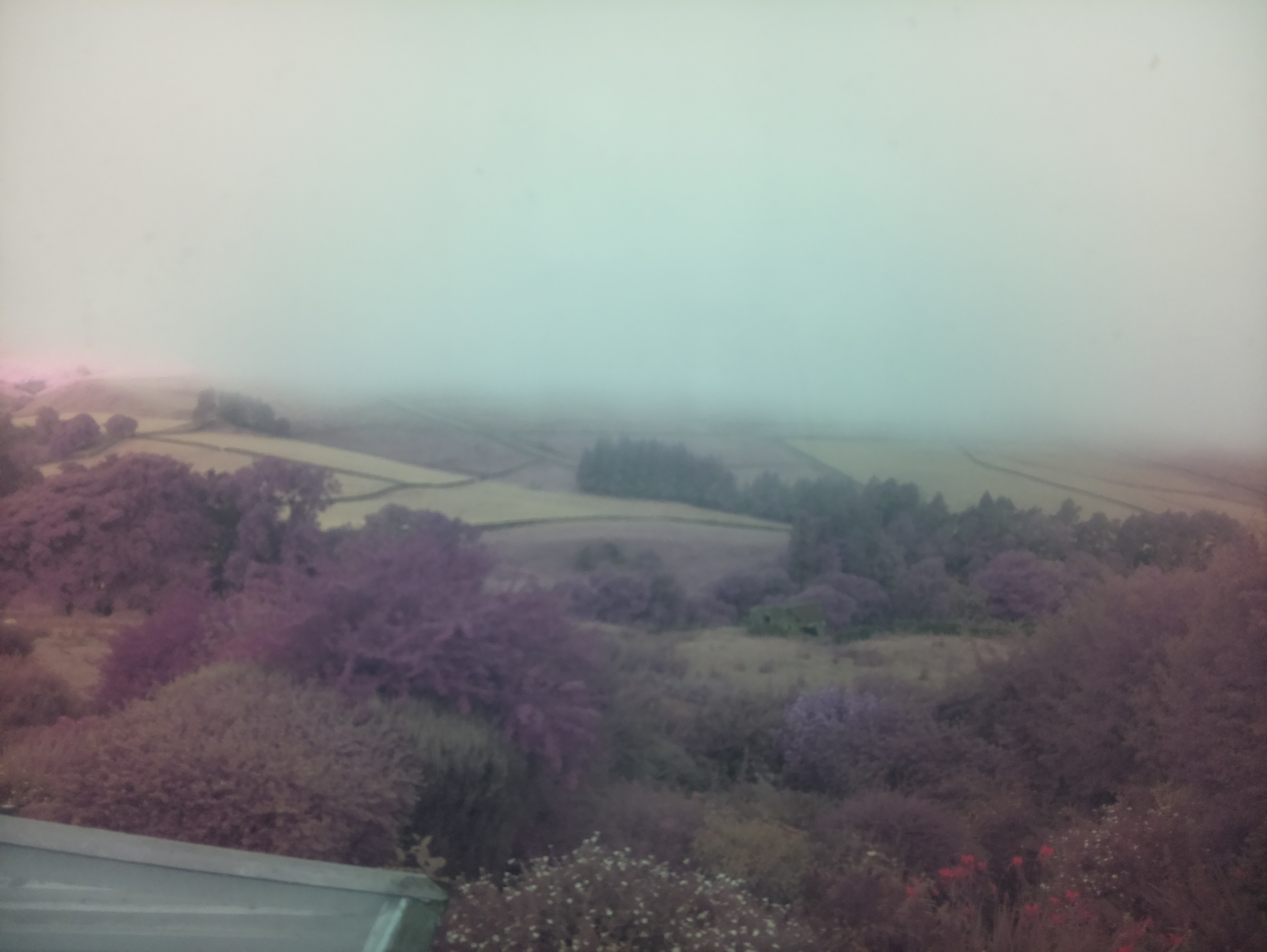 raspi webcam photo