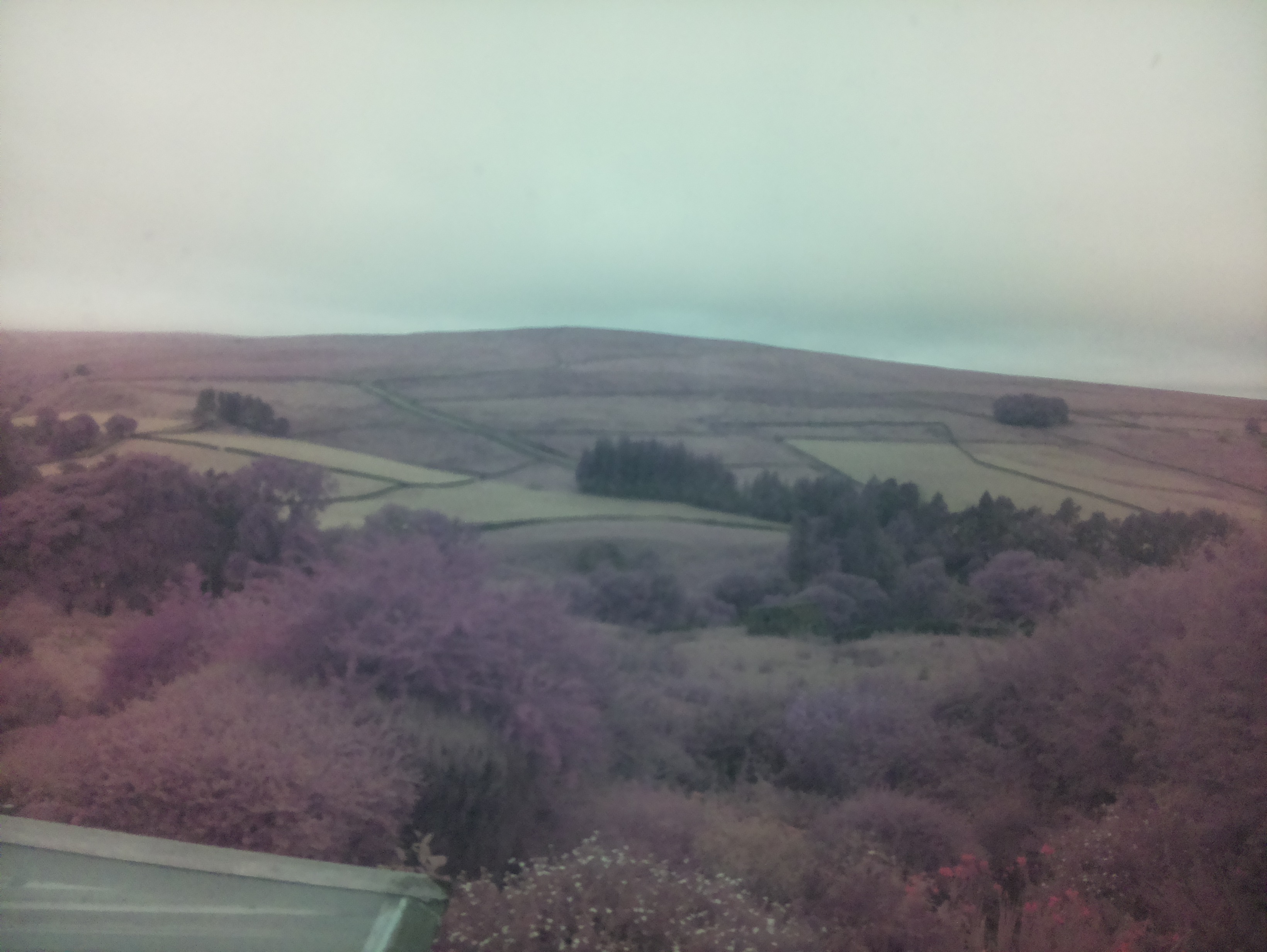 raspi webcam photo