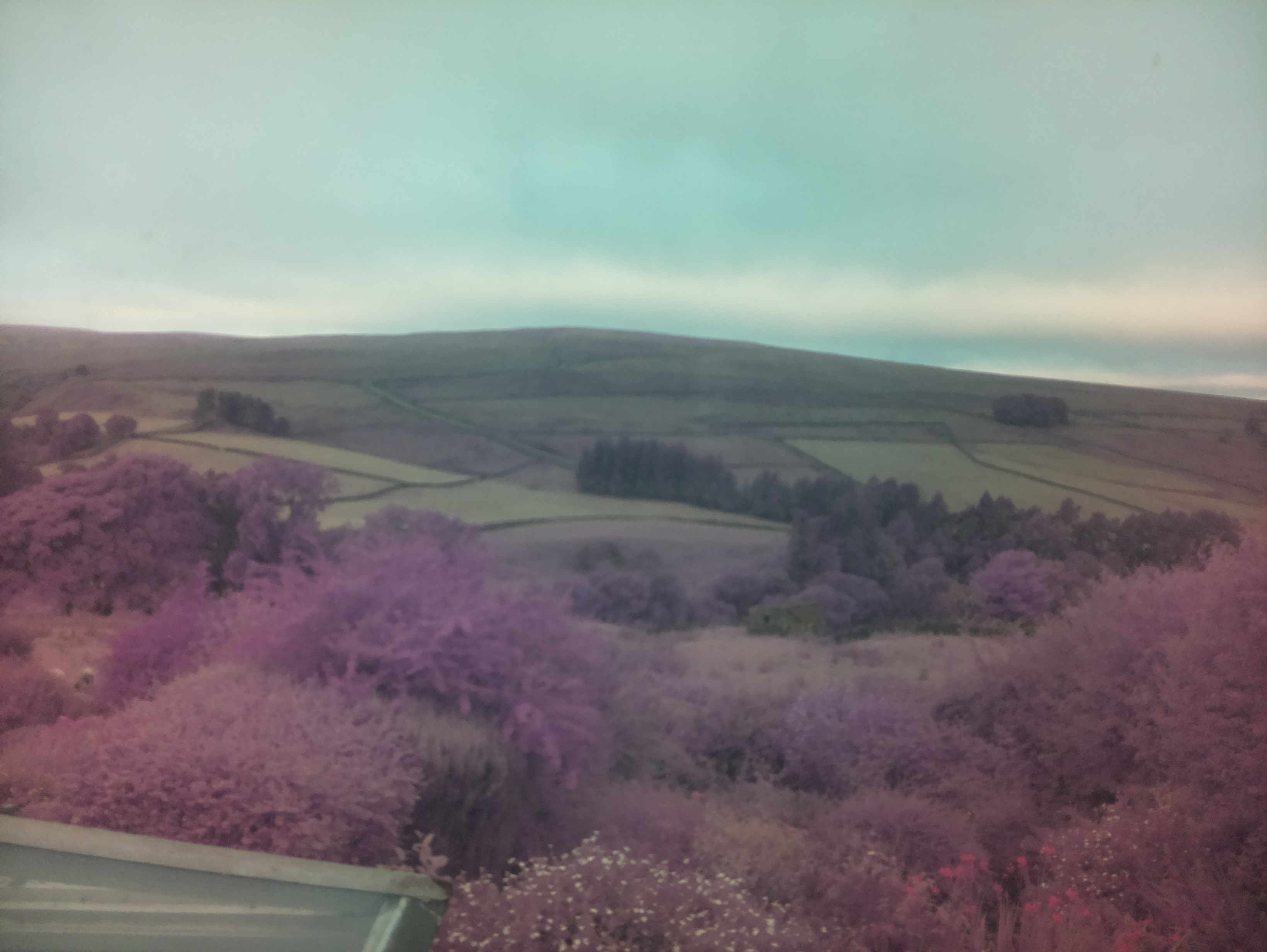 raspi webcam photo