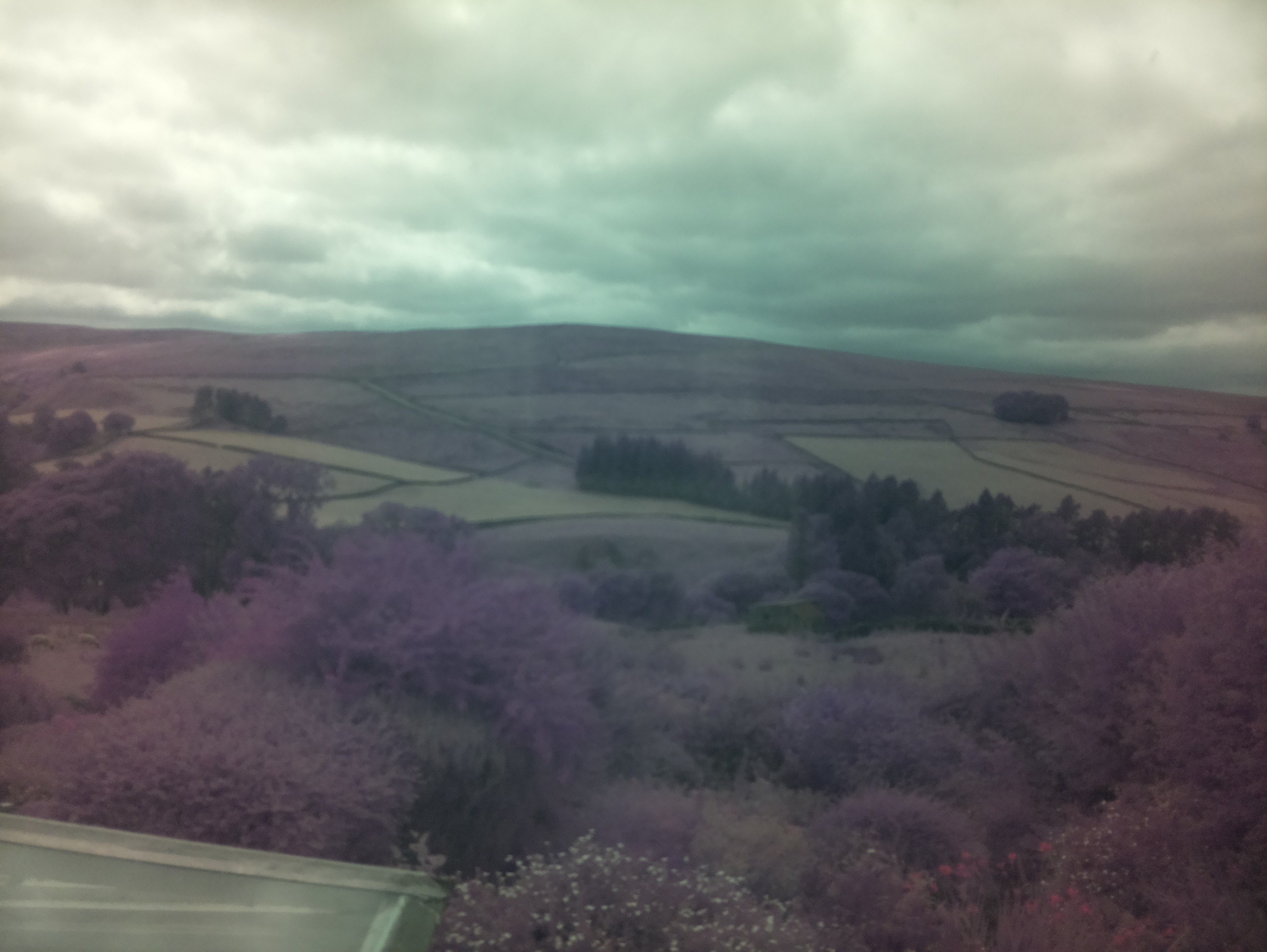 raspi webcam photo