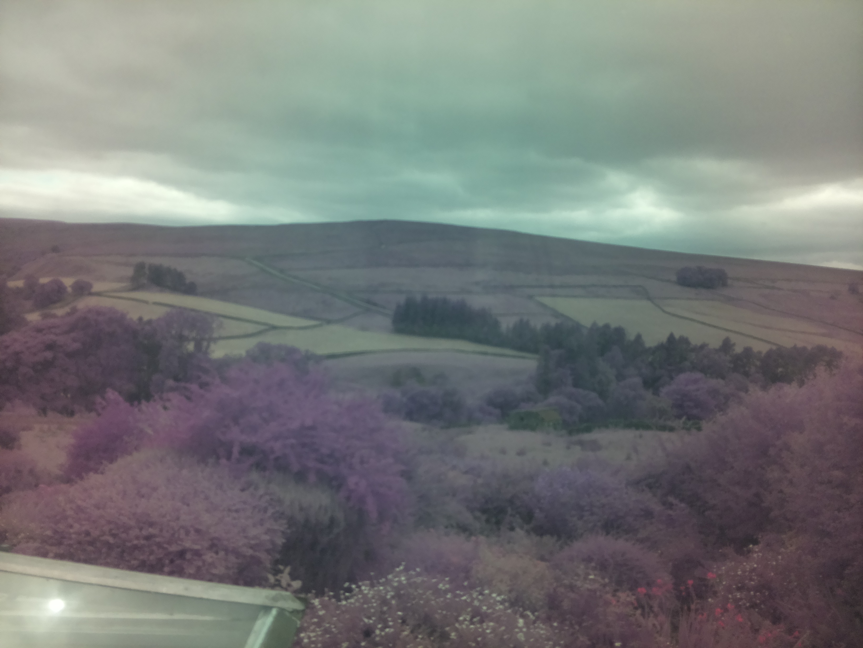 raspi webcam photo