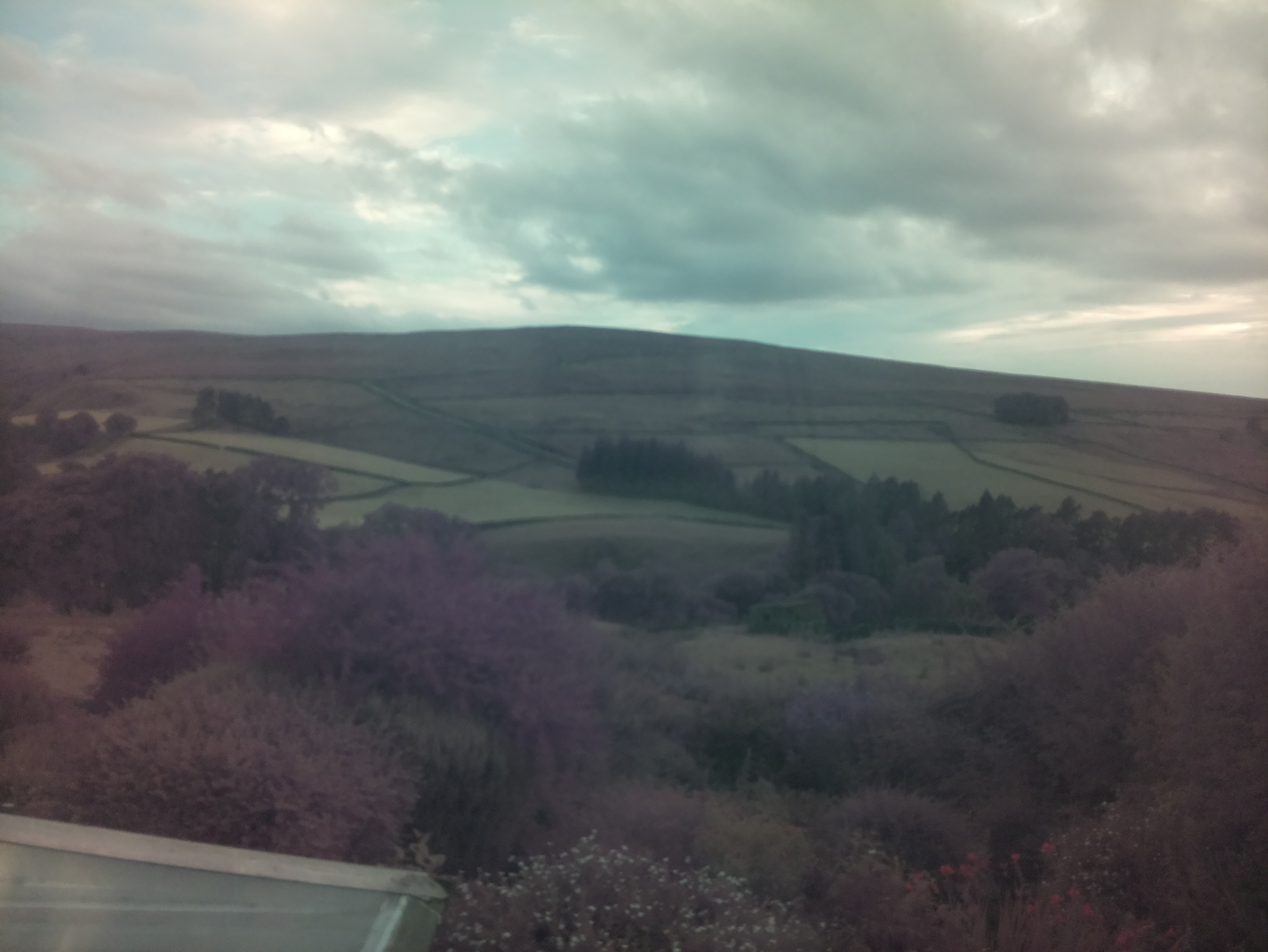 raspi webcam photo