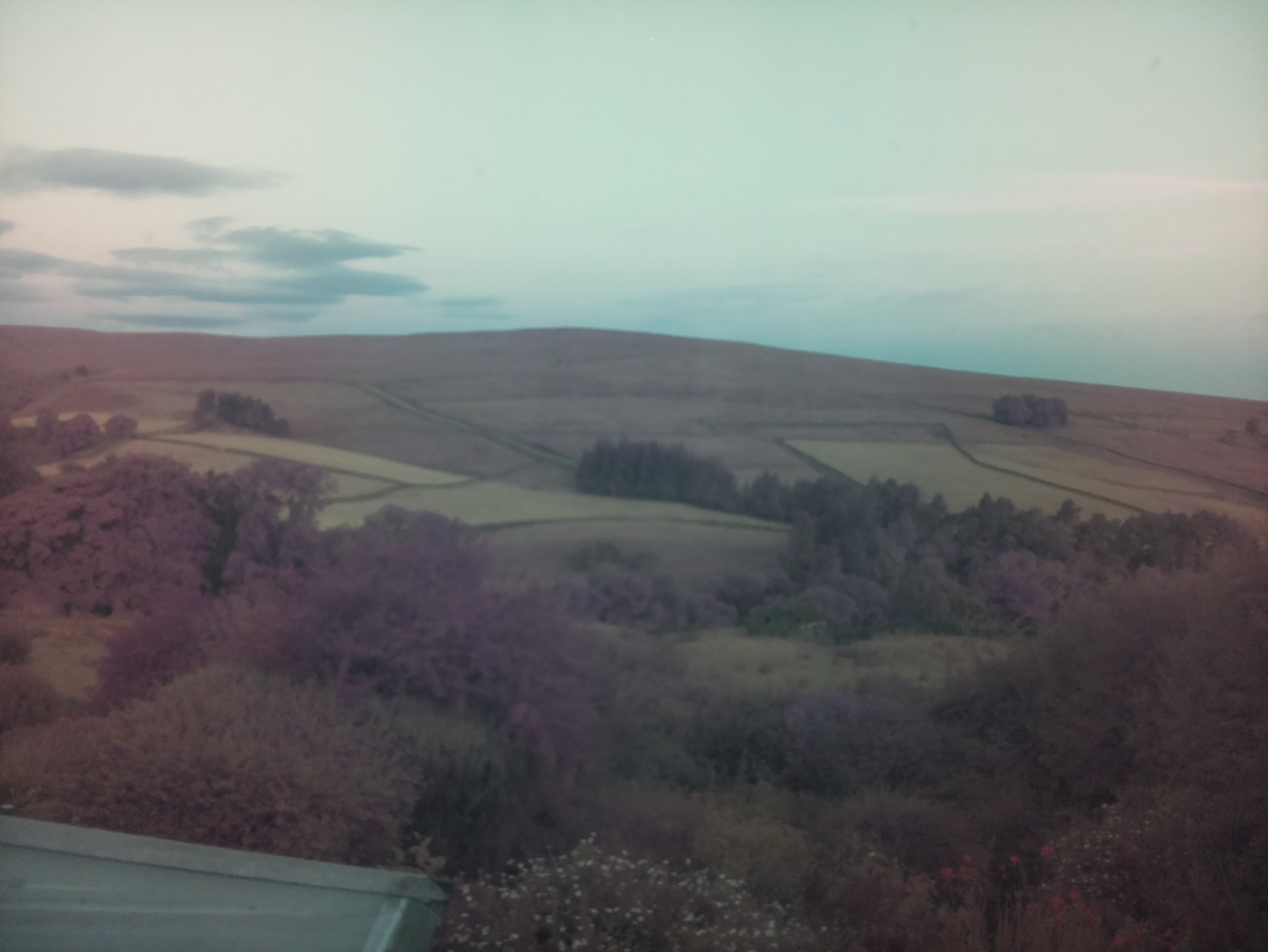 raspi webcam photo