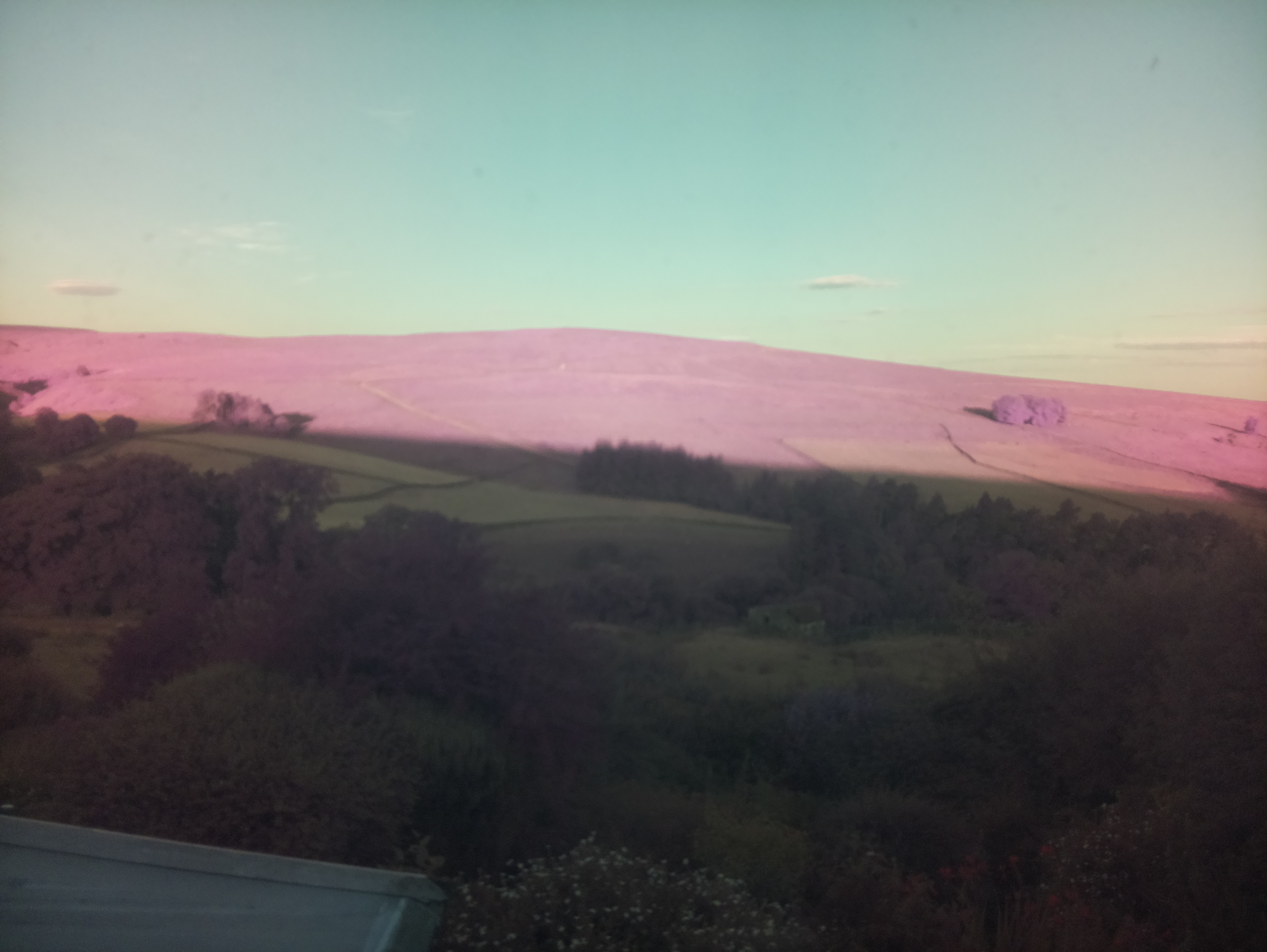 raspi webcam photo